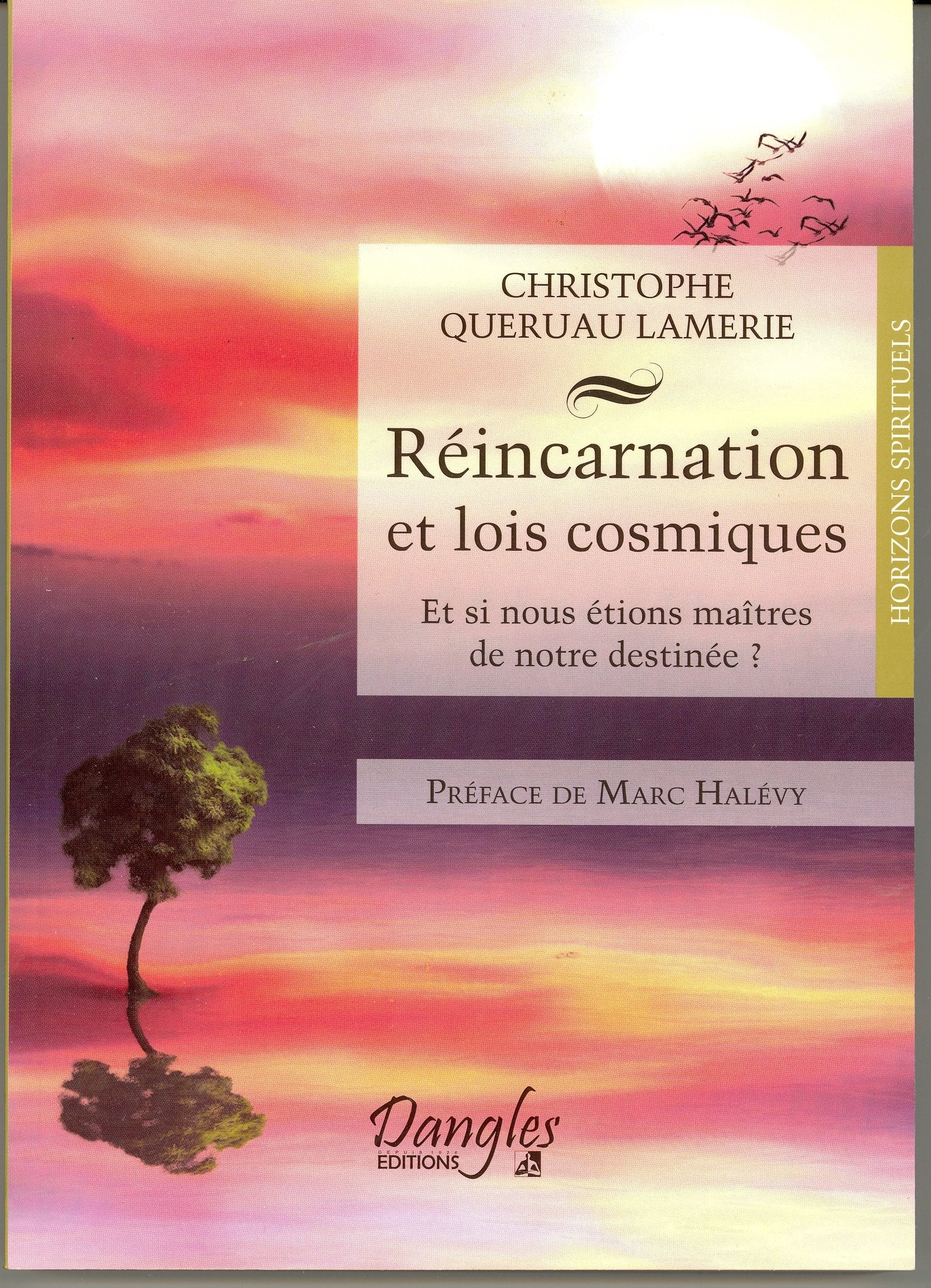 Réincarnation et lois cosmiques - Et si nous étions maîtres de notre destinée ? 9782703309505