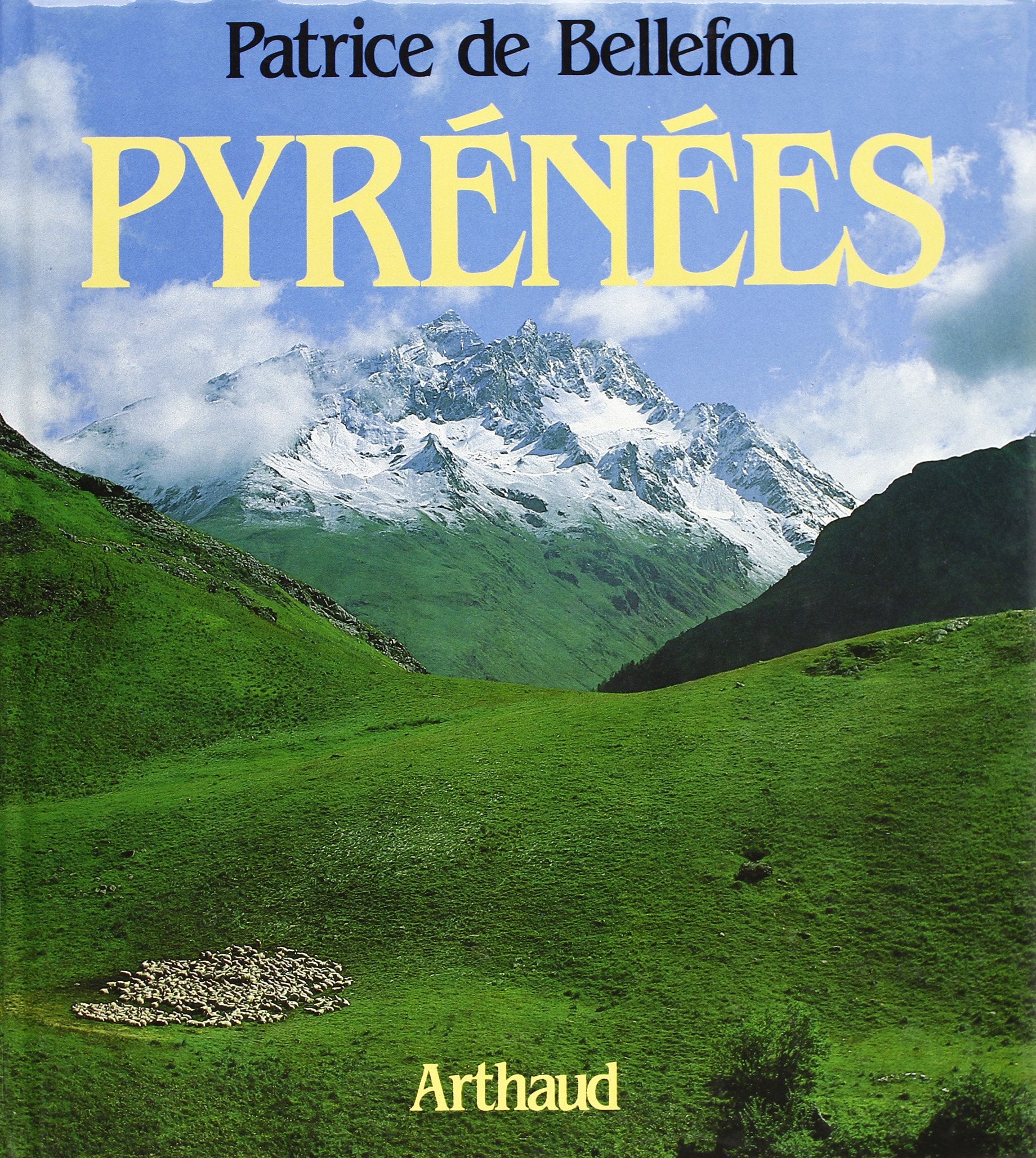 Pyrénées 9782700304961