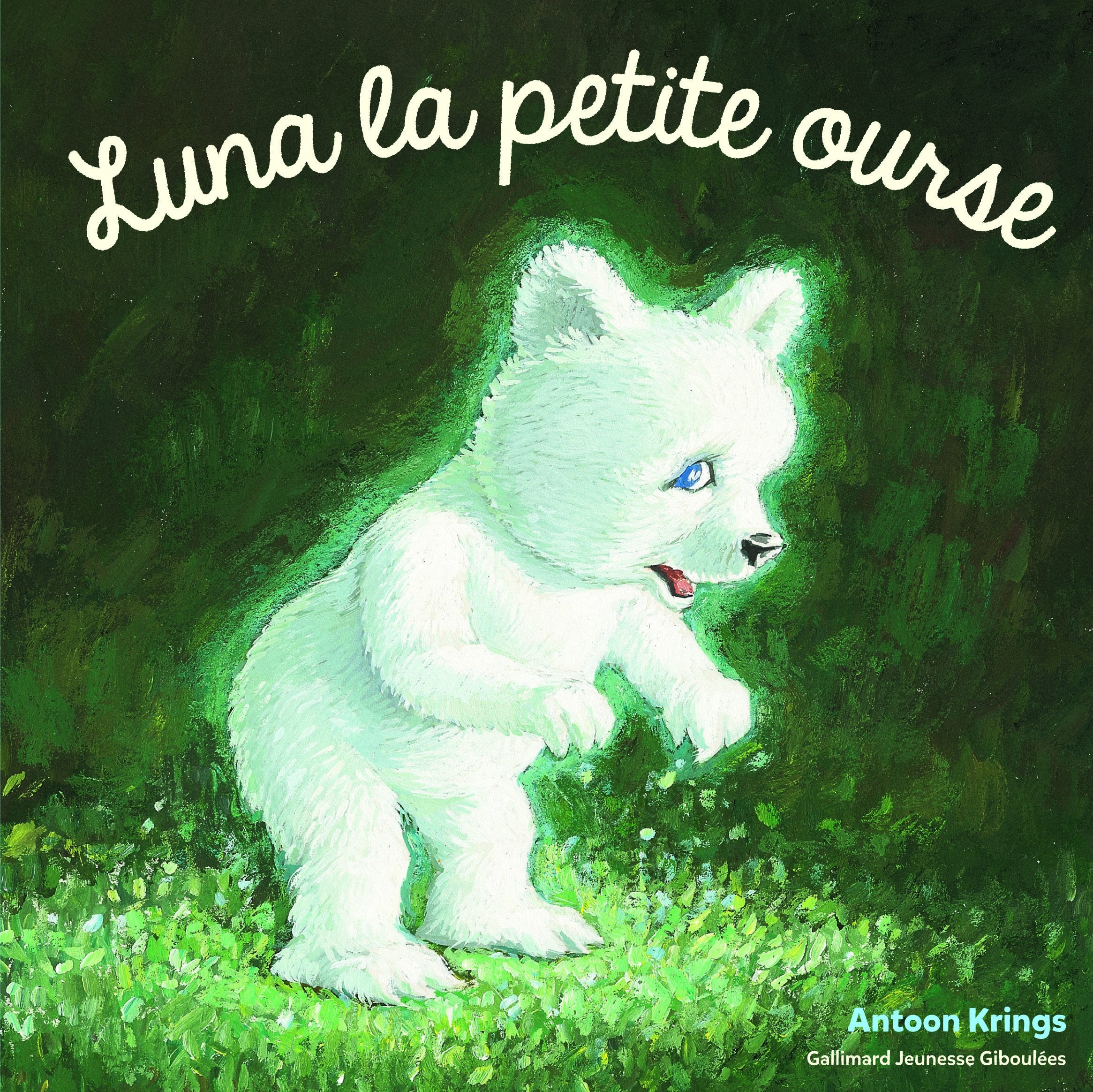 Les Drôles de Petites Bêtes - LUNA LA PETITE OURSE 9782075075930