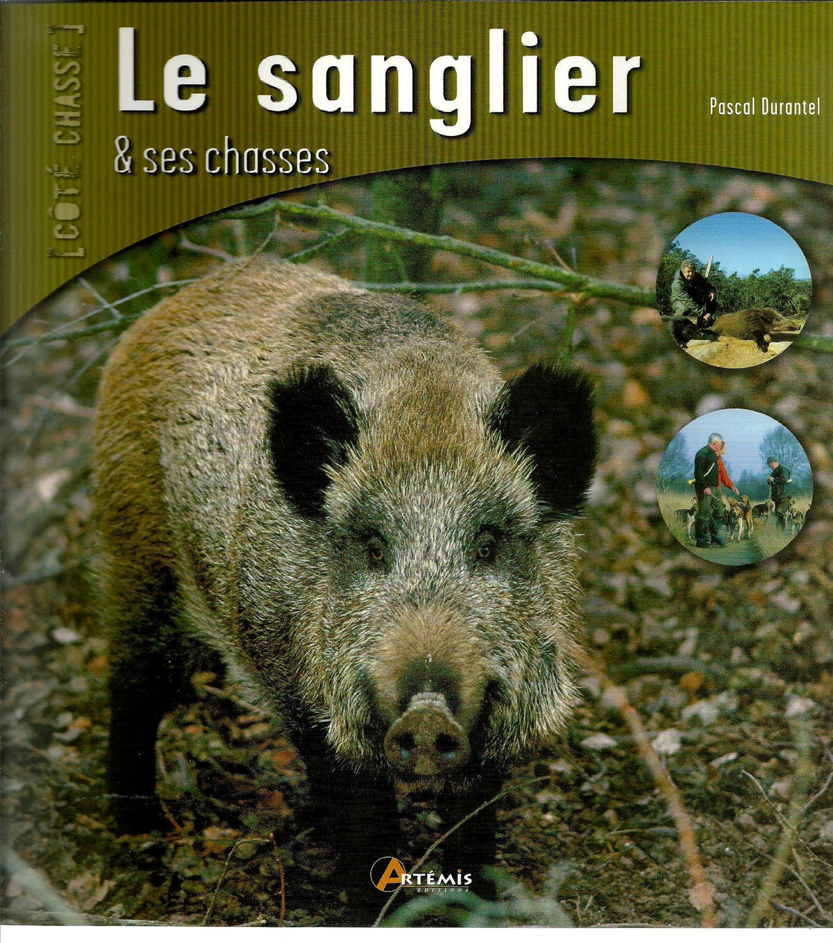 Le sanglier et ses chasses 9782844166036