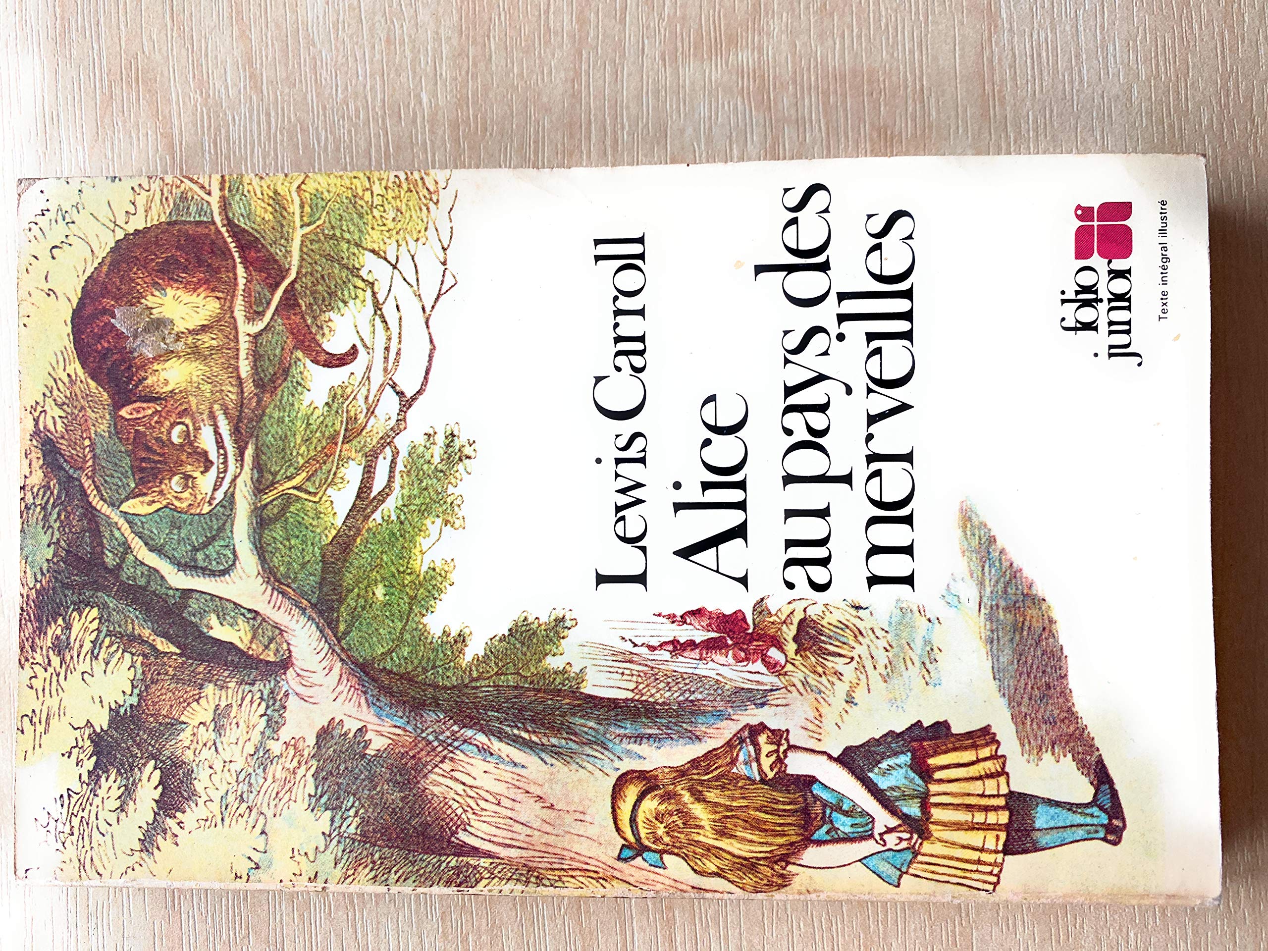 ALICE AU PAYS DES MERVEILLES 9782070331178