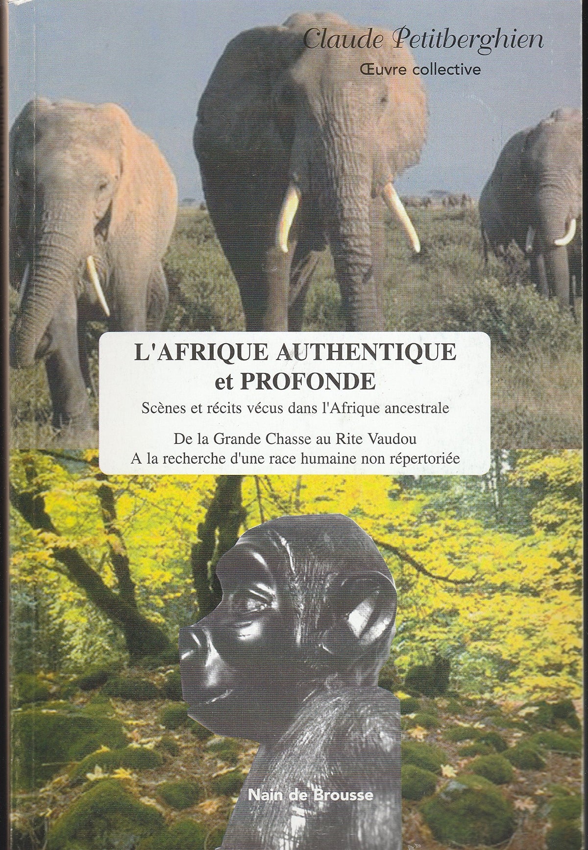 L'Afrique authentique et profonde tome II (scènes et récits vécus dans l'Afrique ancestrale) 