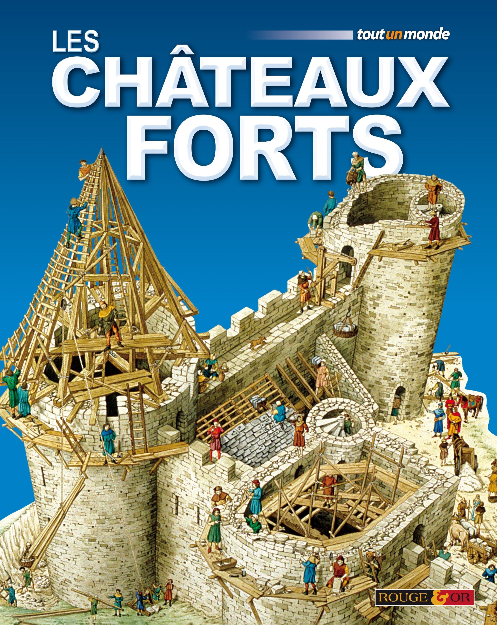 Châteaux forts 9782261403820