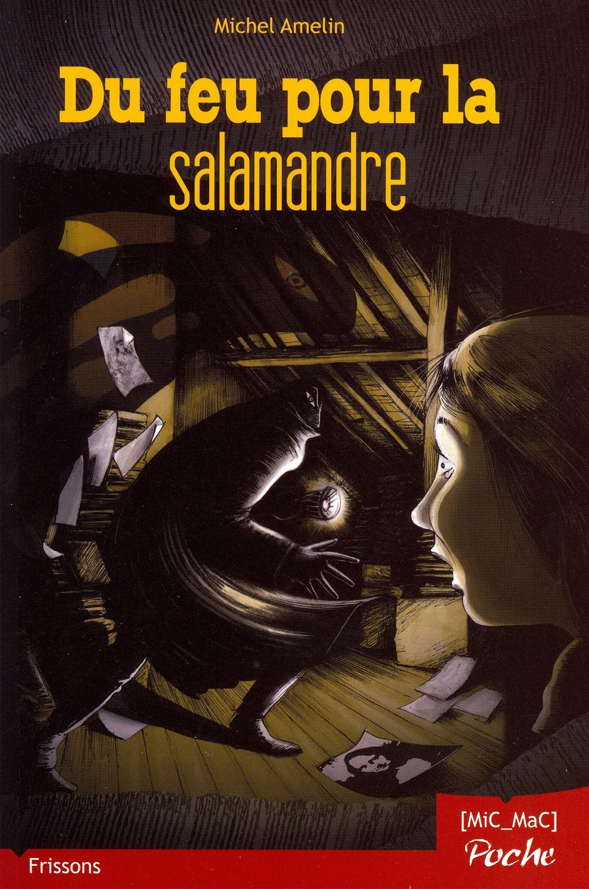 Du feu pour la salamandre 9782362210297