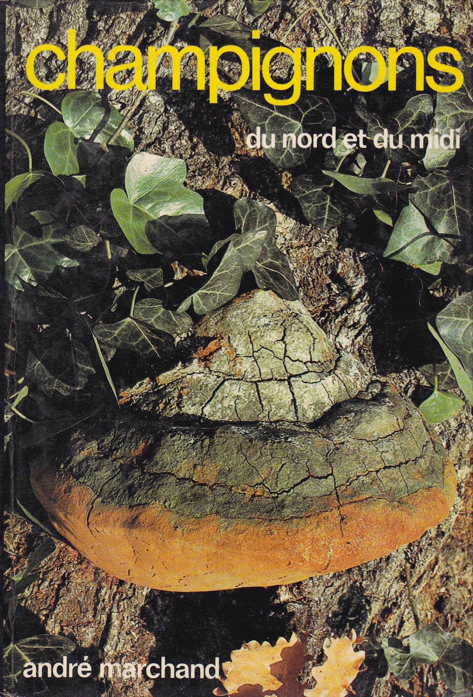Champignons Du Nord ,Tomo 4 9788439947684