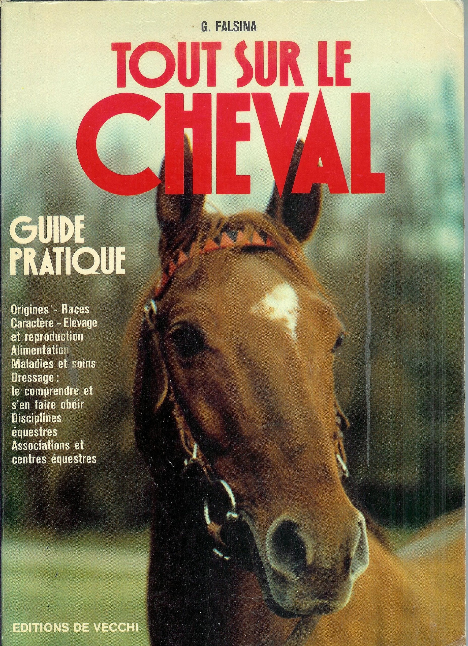 Tout Sur Le Cheval. Guide Pratique 9782732816104