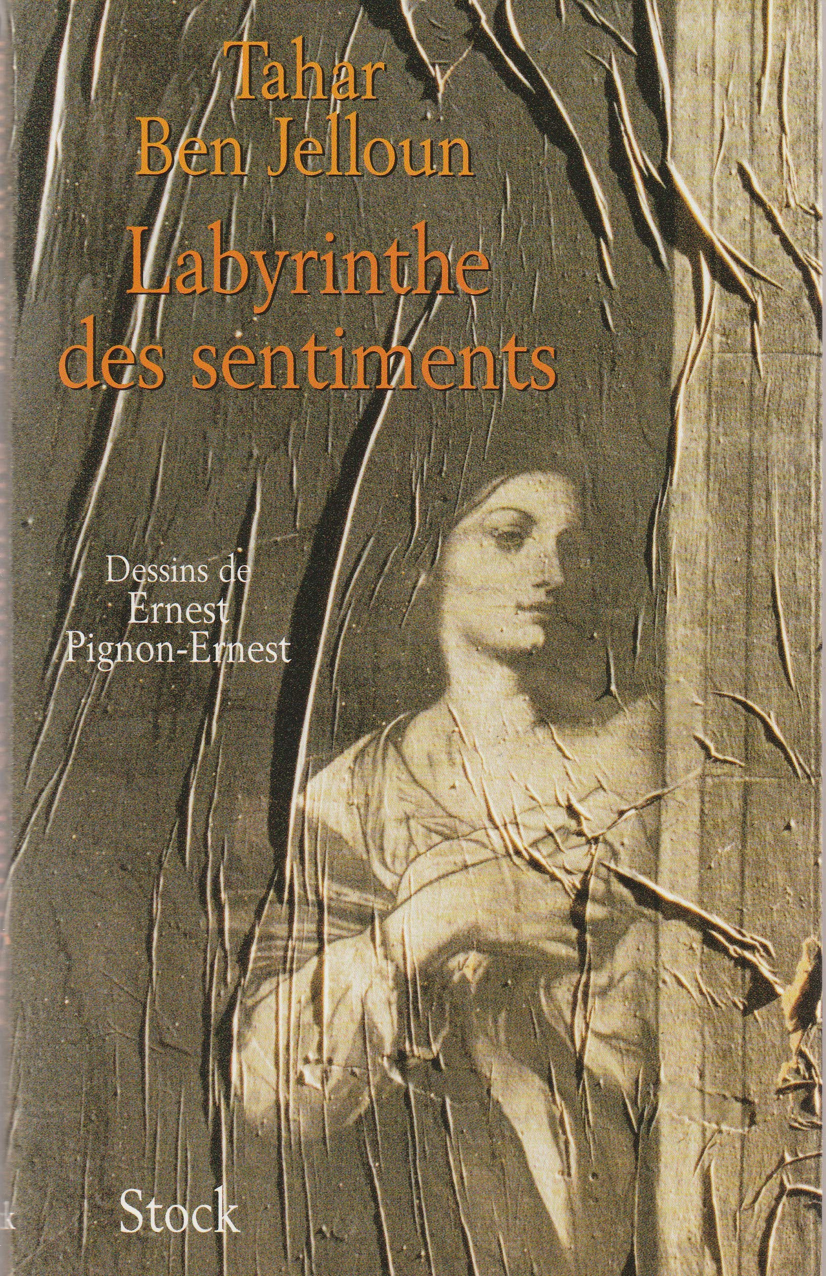 Labyrinthe des sentiments 9782234051812