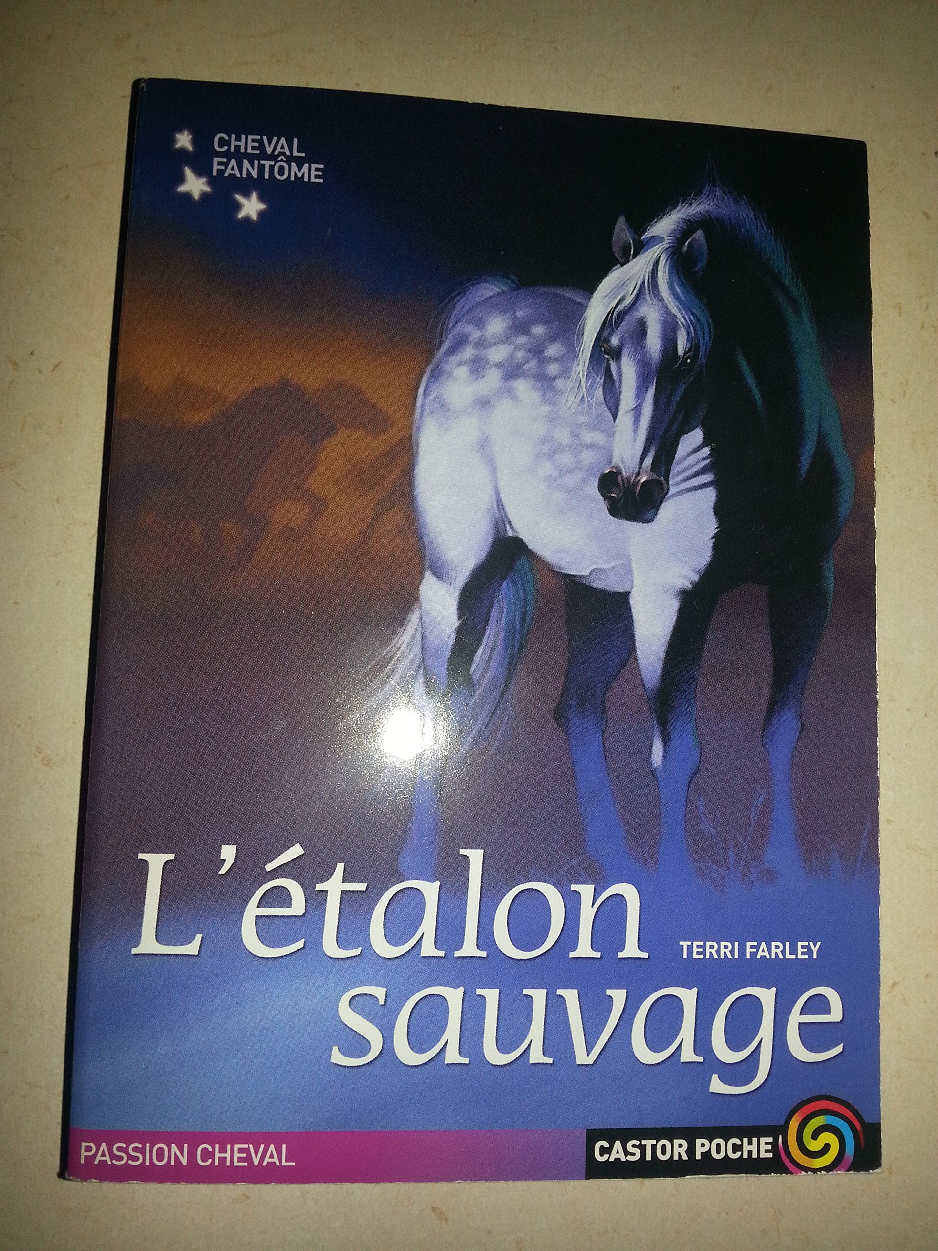 Le Cheval fantôme, tome 1 : L'étalon sauvage 9782081624948