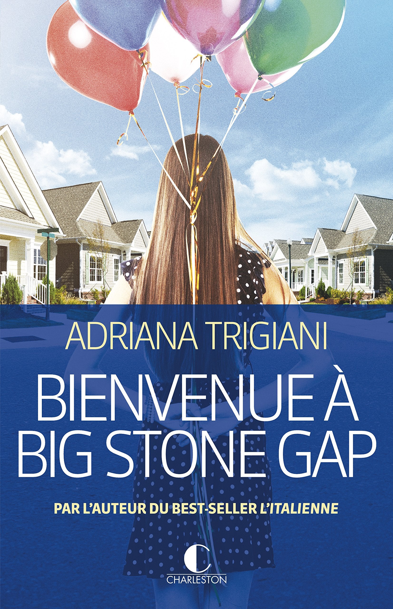 Bienvenue à Big Stone Gap 9782368120316