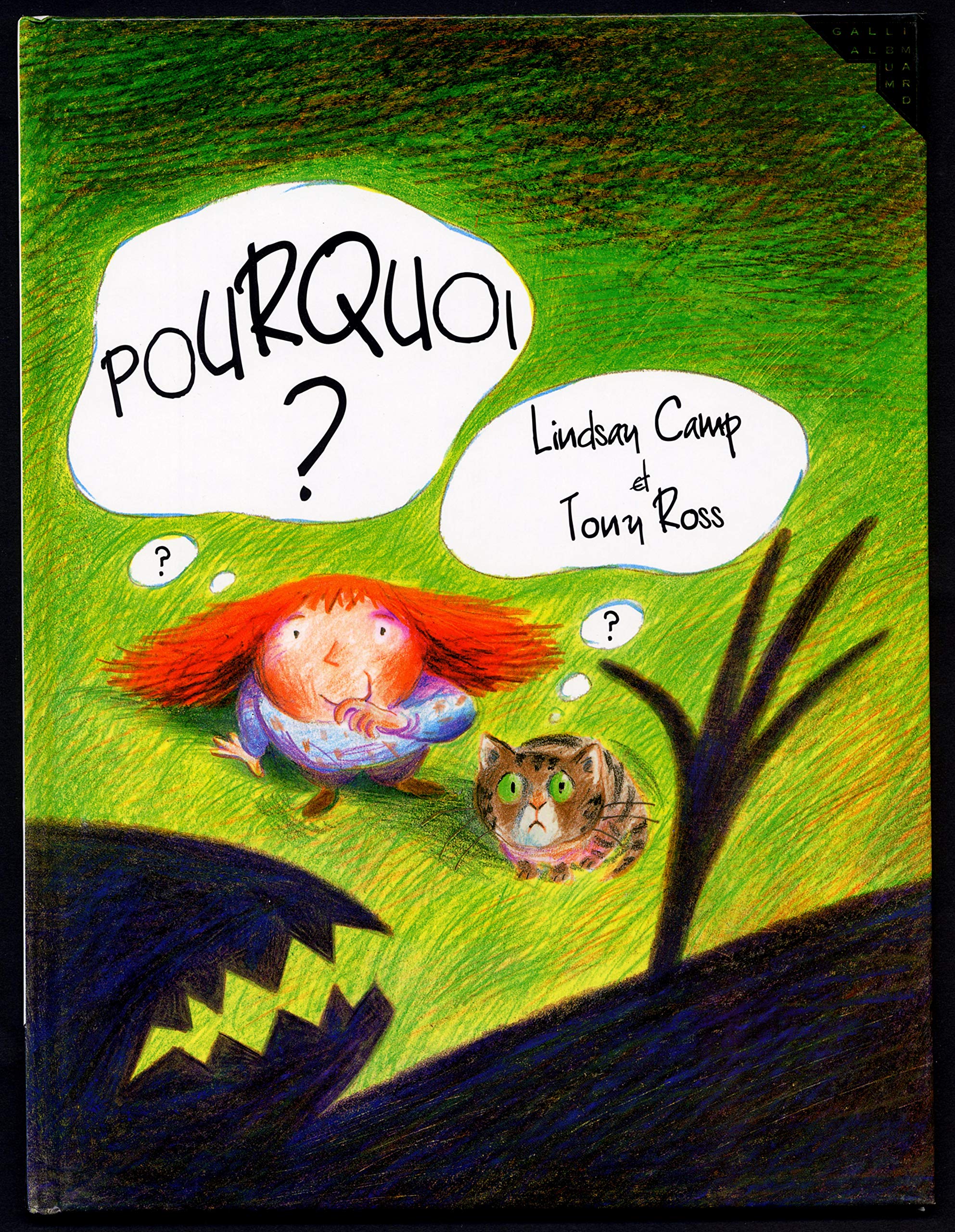 POURQUOI ? - A partir de 4 ans 9782070521548