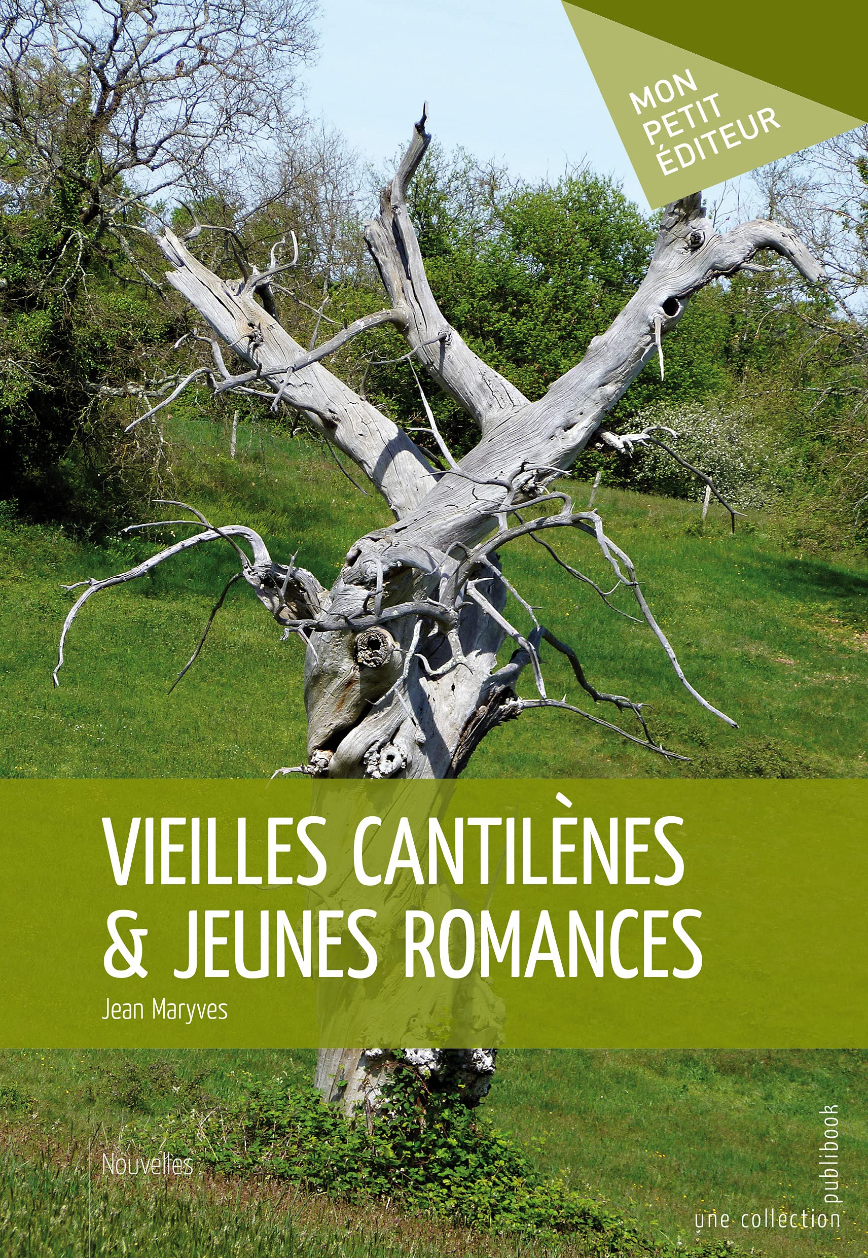 Vieilles cantilènes & jeunes romances 9782342010848