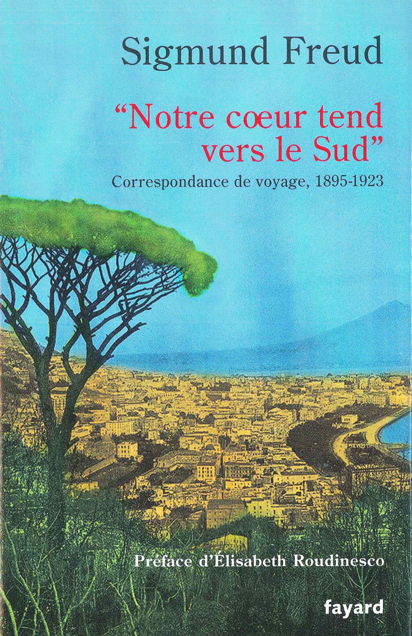 « Notre coeur tend vers le Sud »: Correspondance de voyage, 1895-1923 9782213623184