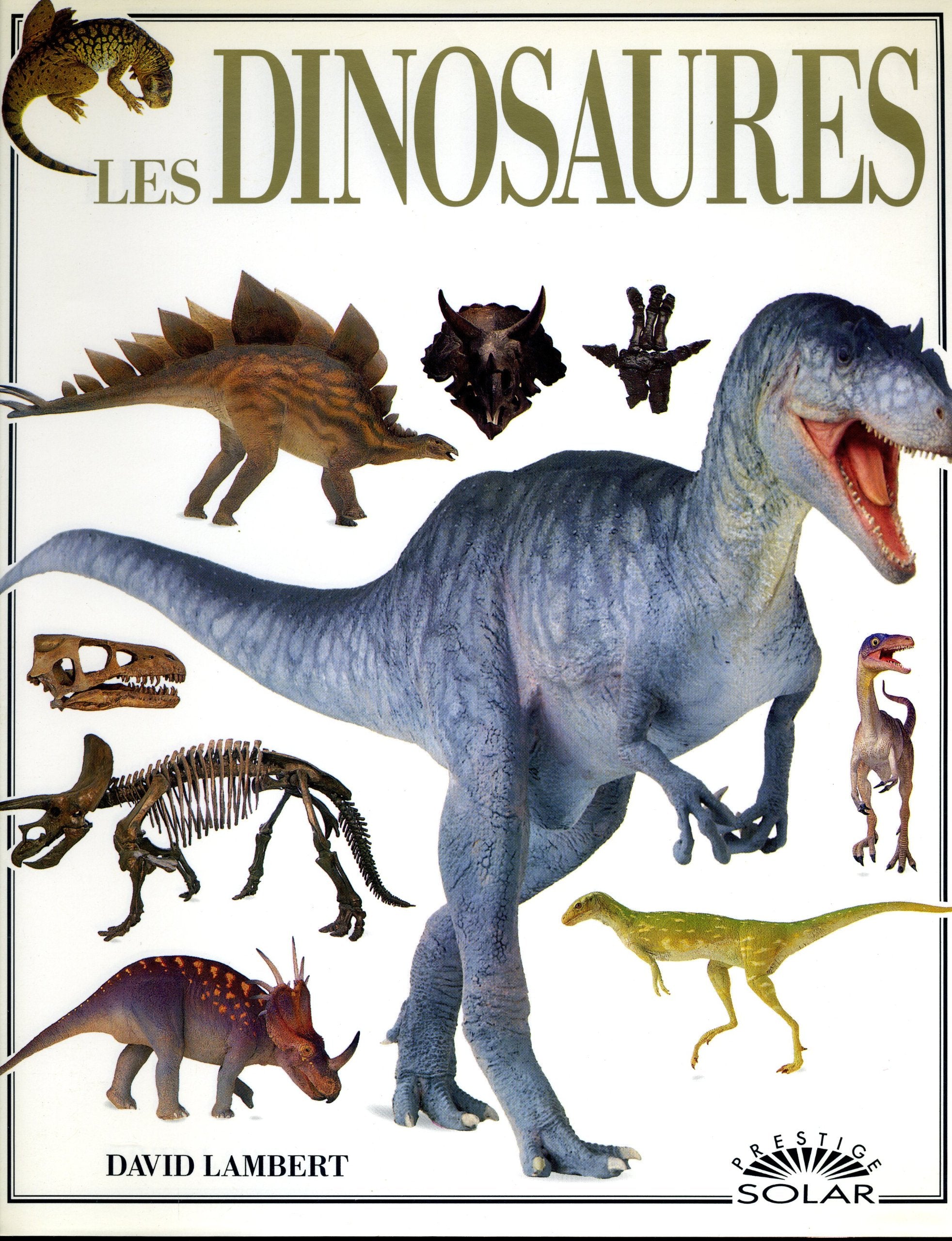 Les dinosaures 9782263000331