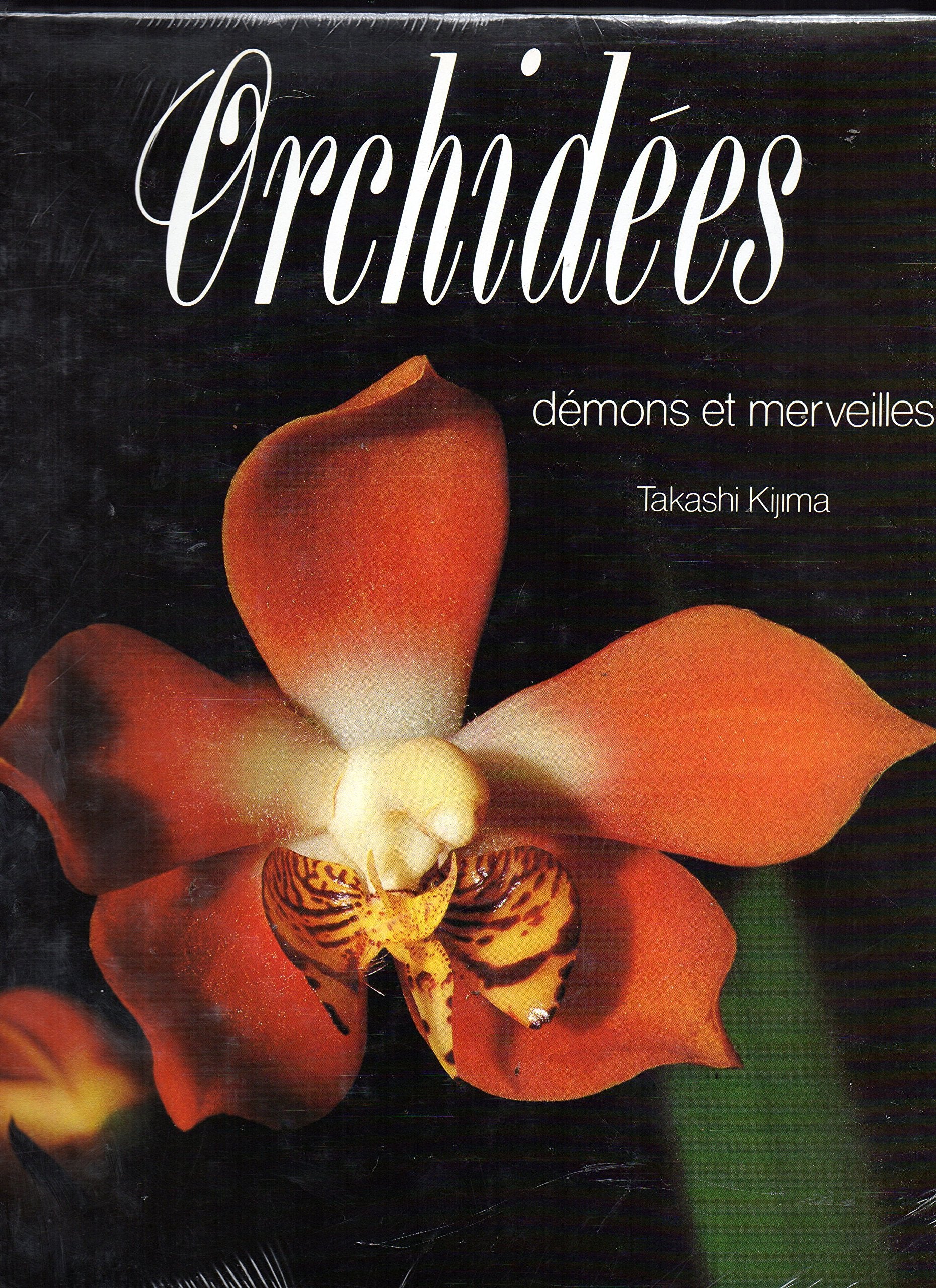 Les Orchidées : Démons et merveilles 9782724244281