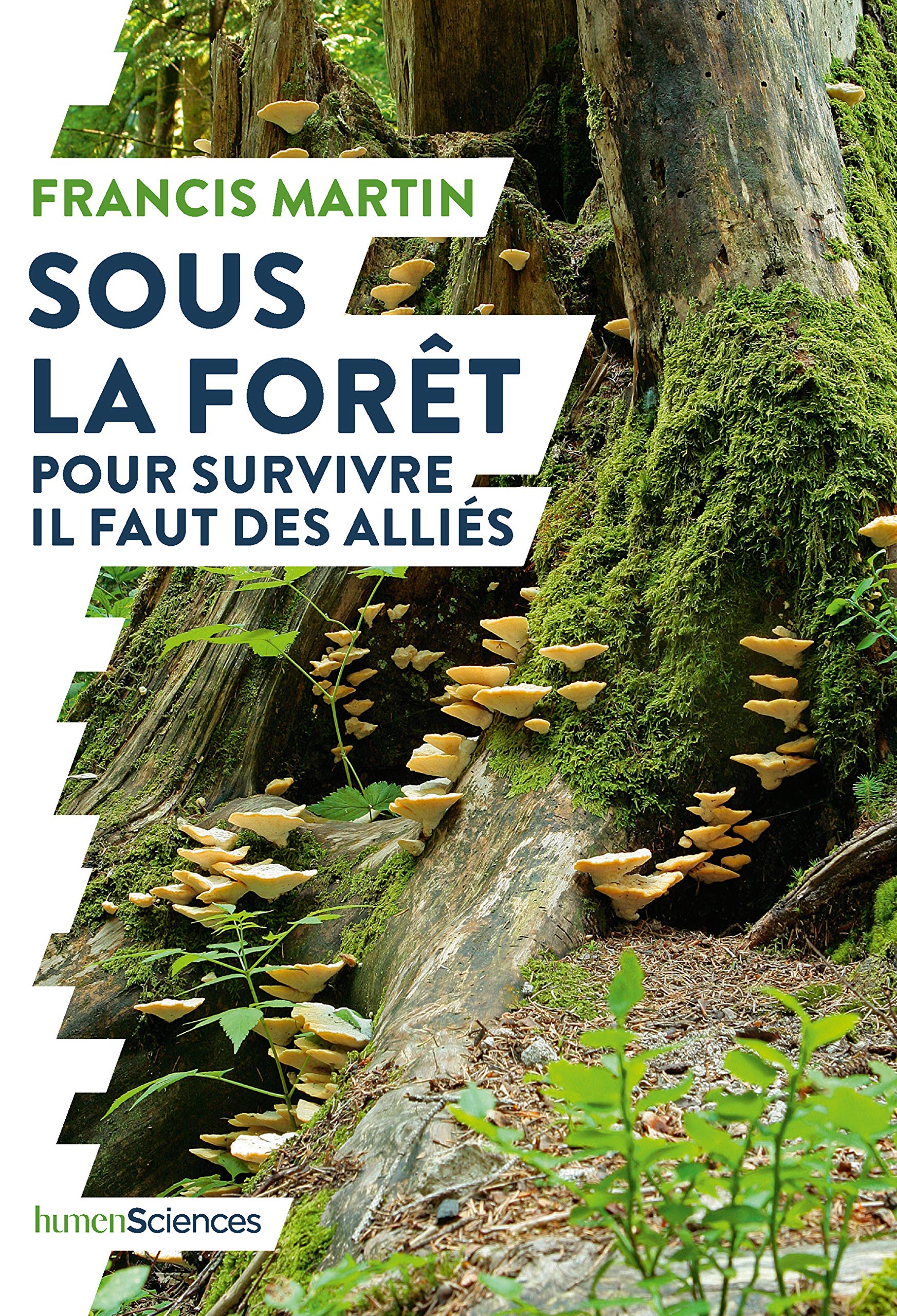 Sous la forêt: Pour survivre il faut des alliés 9782379310034