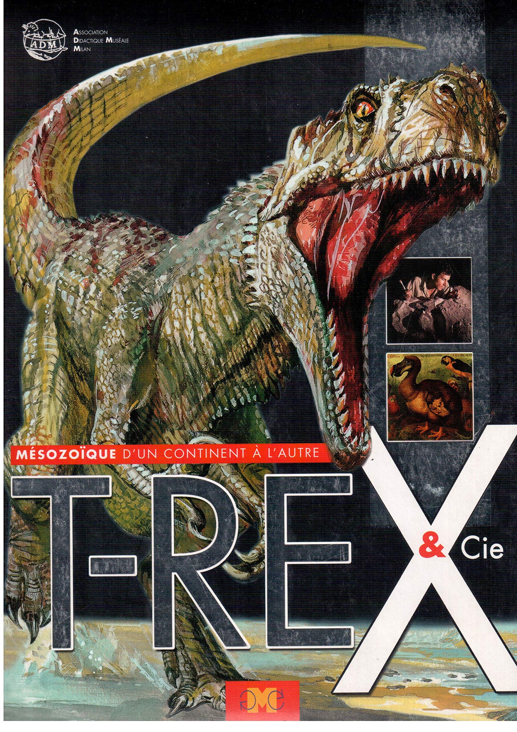 T-Rex et Cie: Mésozoïque d'un continent à l'autre 9788877470218