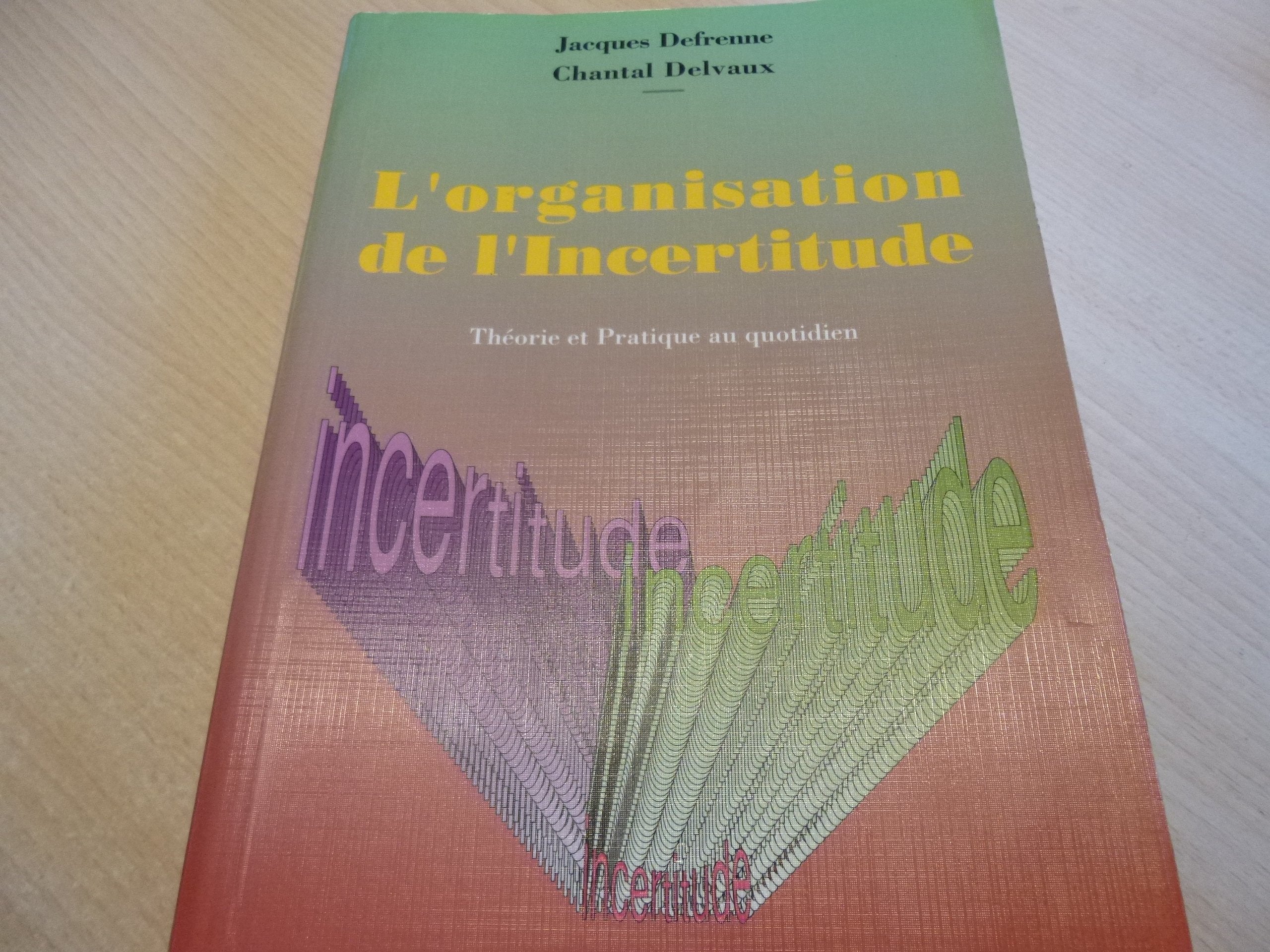 l'organisation de l'incertitude théorie et pratique au quotidien 
