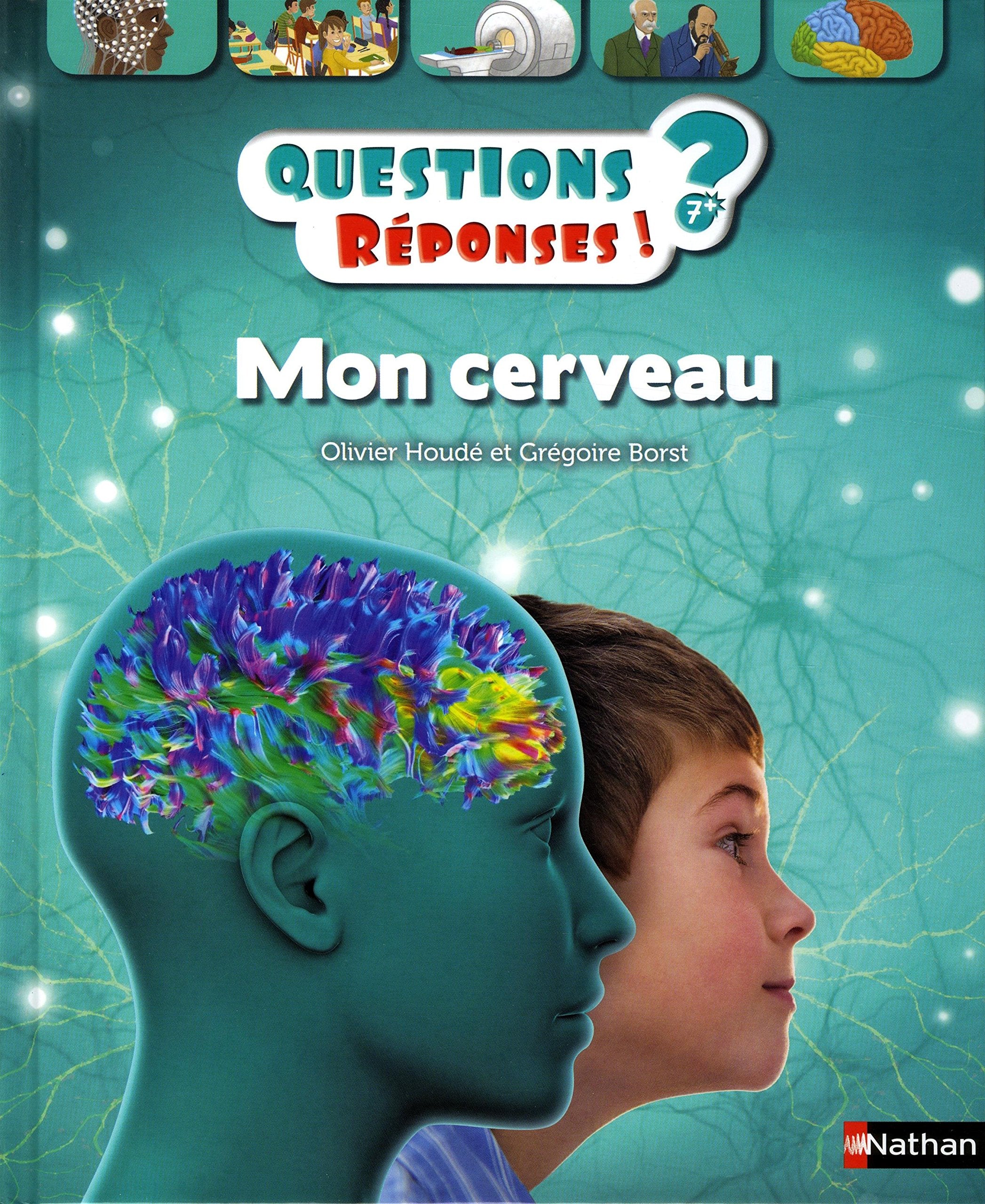 Mon cerveau - Questions/Réponses - doc dès 7 ans (49) 9782092576809