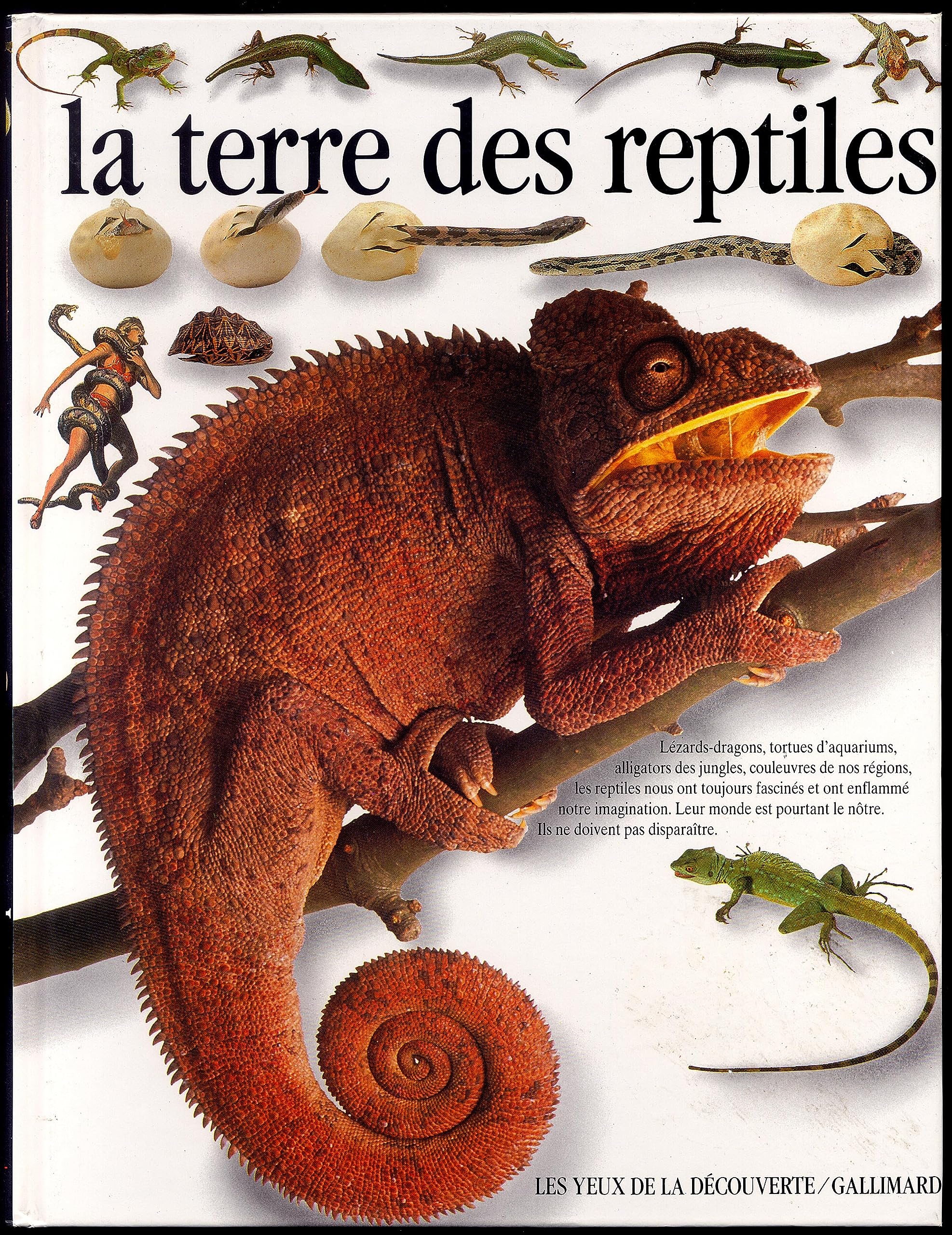 LA TERRE DES REPTILES 9782070565511