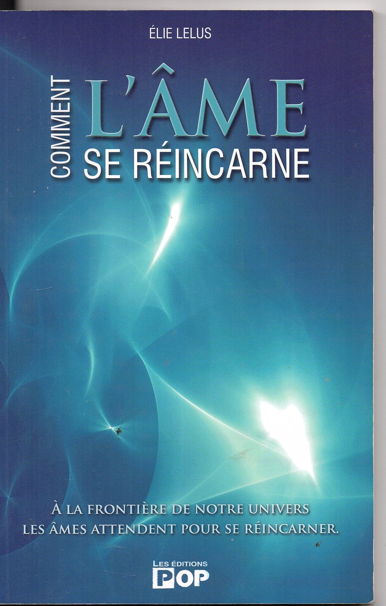 Comment l'âme se réincarne 9782895421566