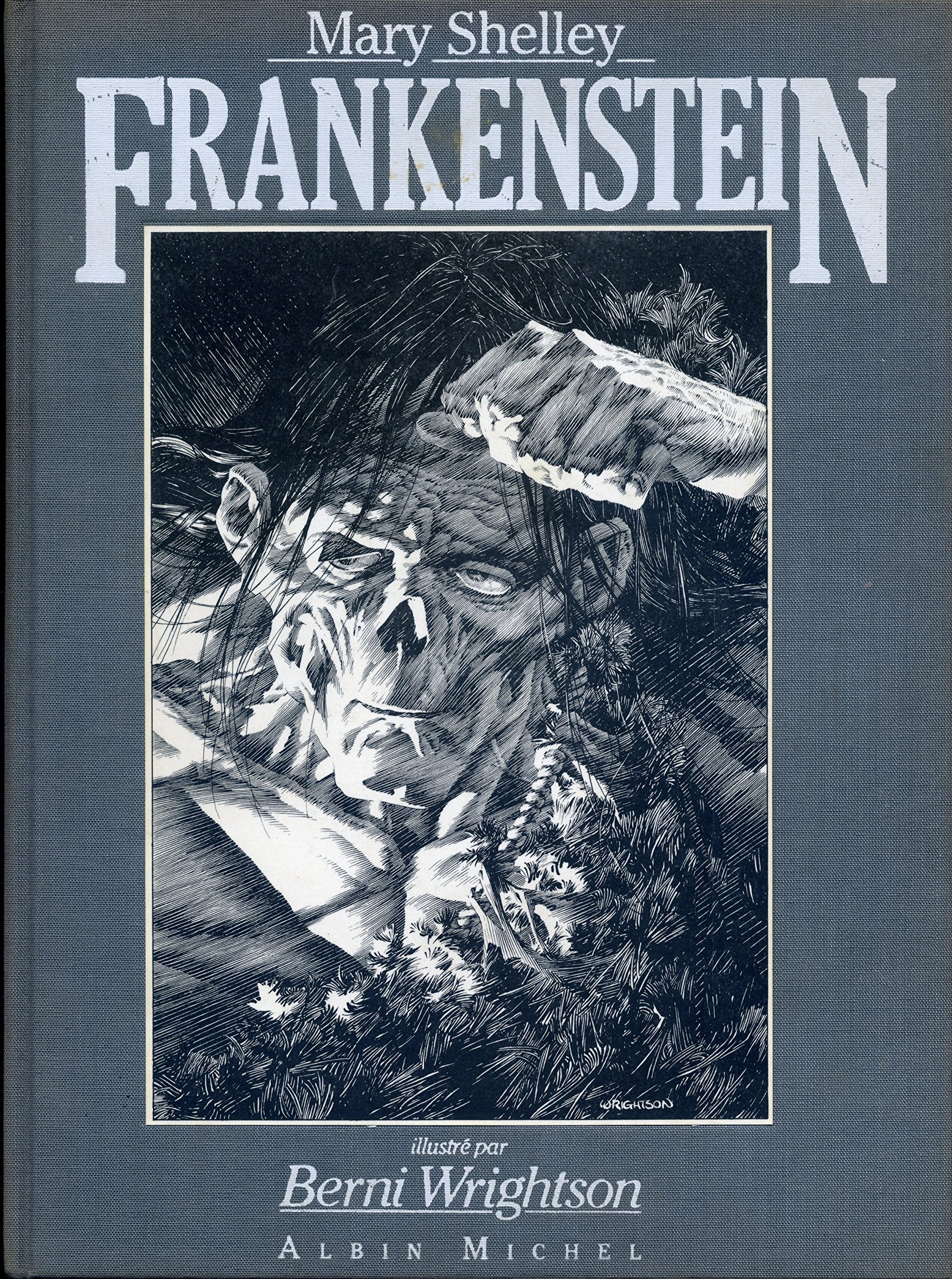 Frankenstein, ou, Le Prométhée des temps modernes 9782226021076