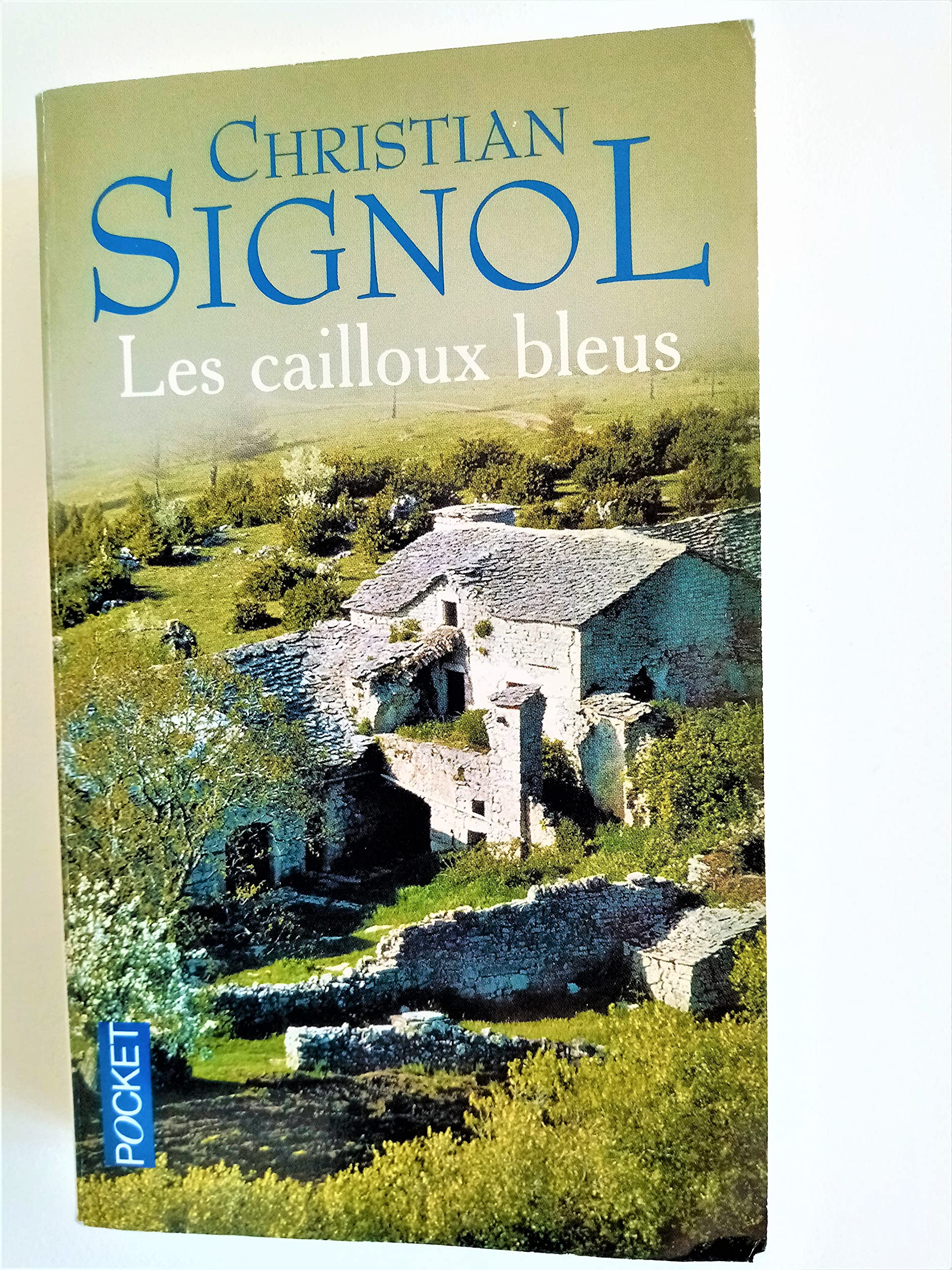 Les Cailloux bleu 9782266152013