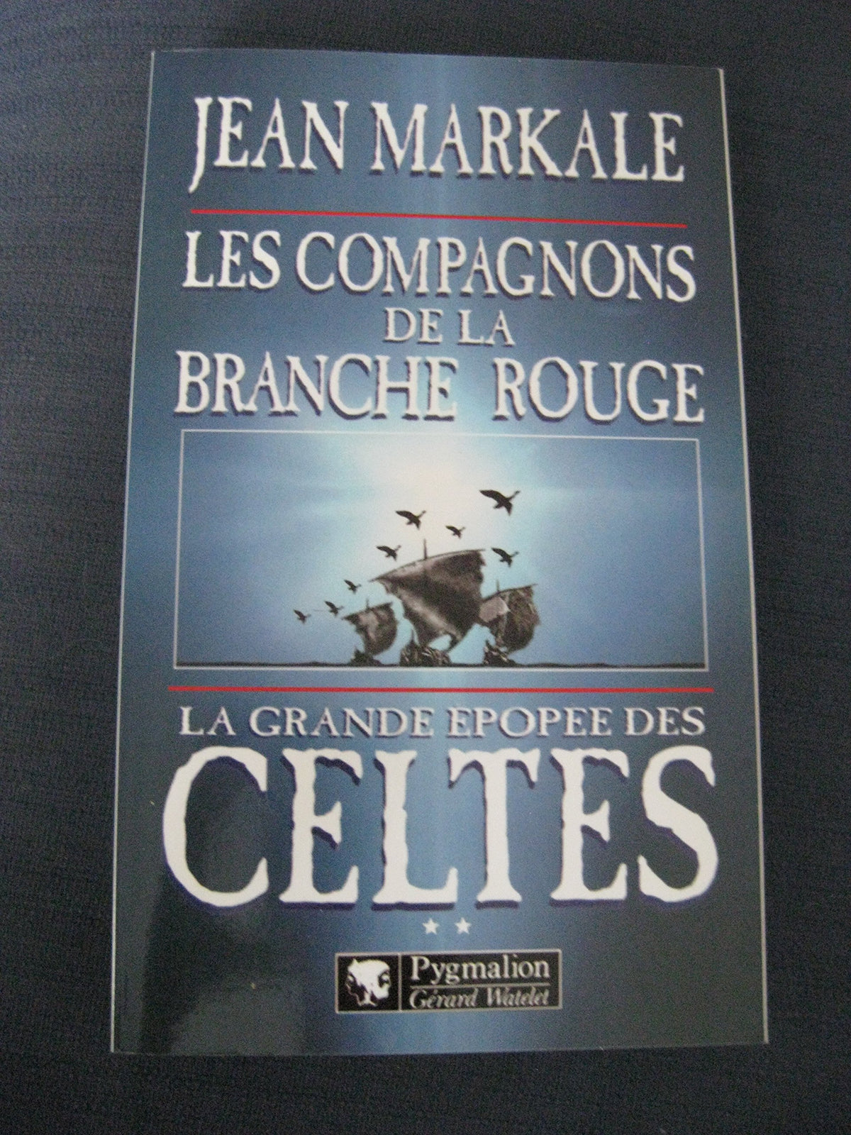 La Grande Epopée des Celtes, tome 2 : Les Compagnons de la branche rouge 9782857045267