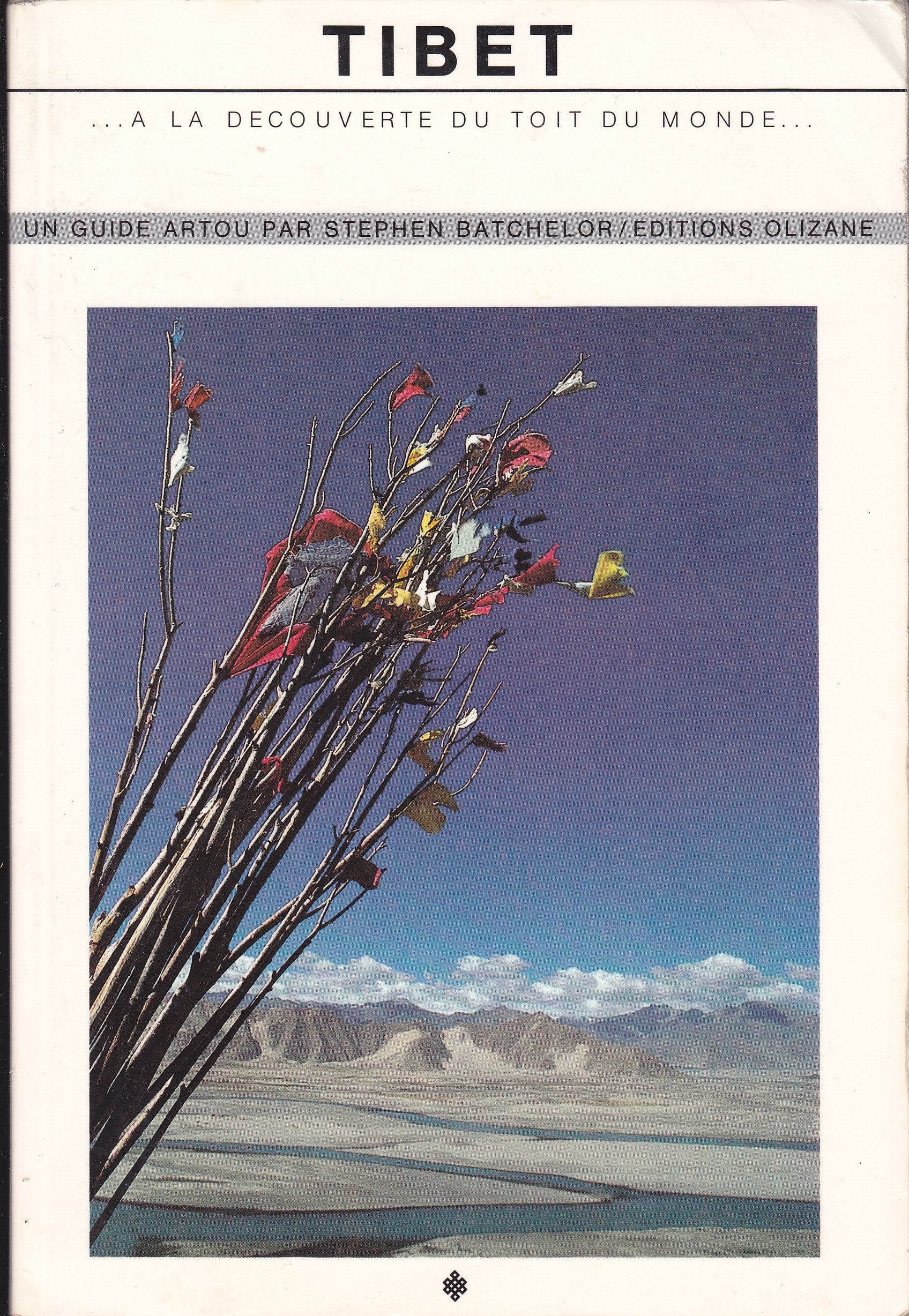 Tibet Guide 9782880860400