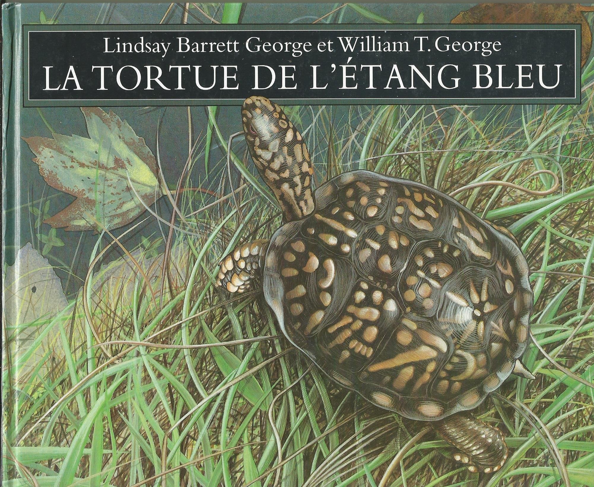 La Tortue de l'étang bleu 9782211037969