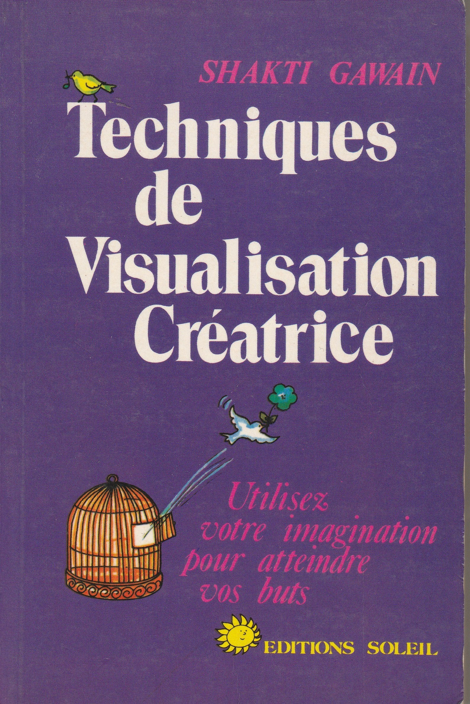 Techniques de visualisation créatrice 9782880580209