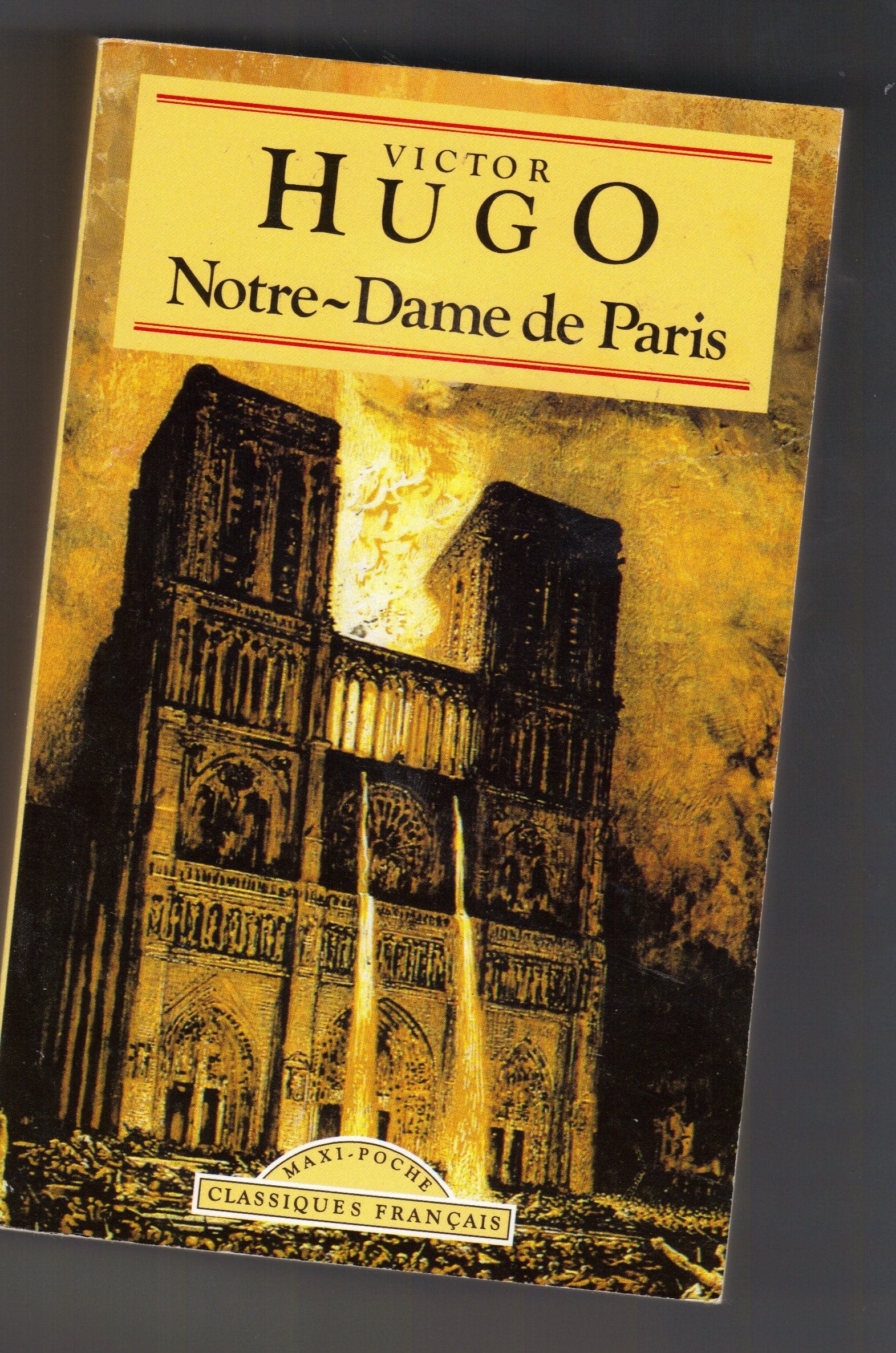 Notre-Dame de Paris 9782877141246