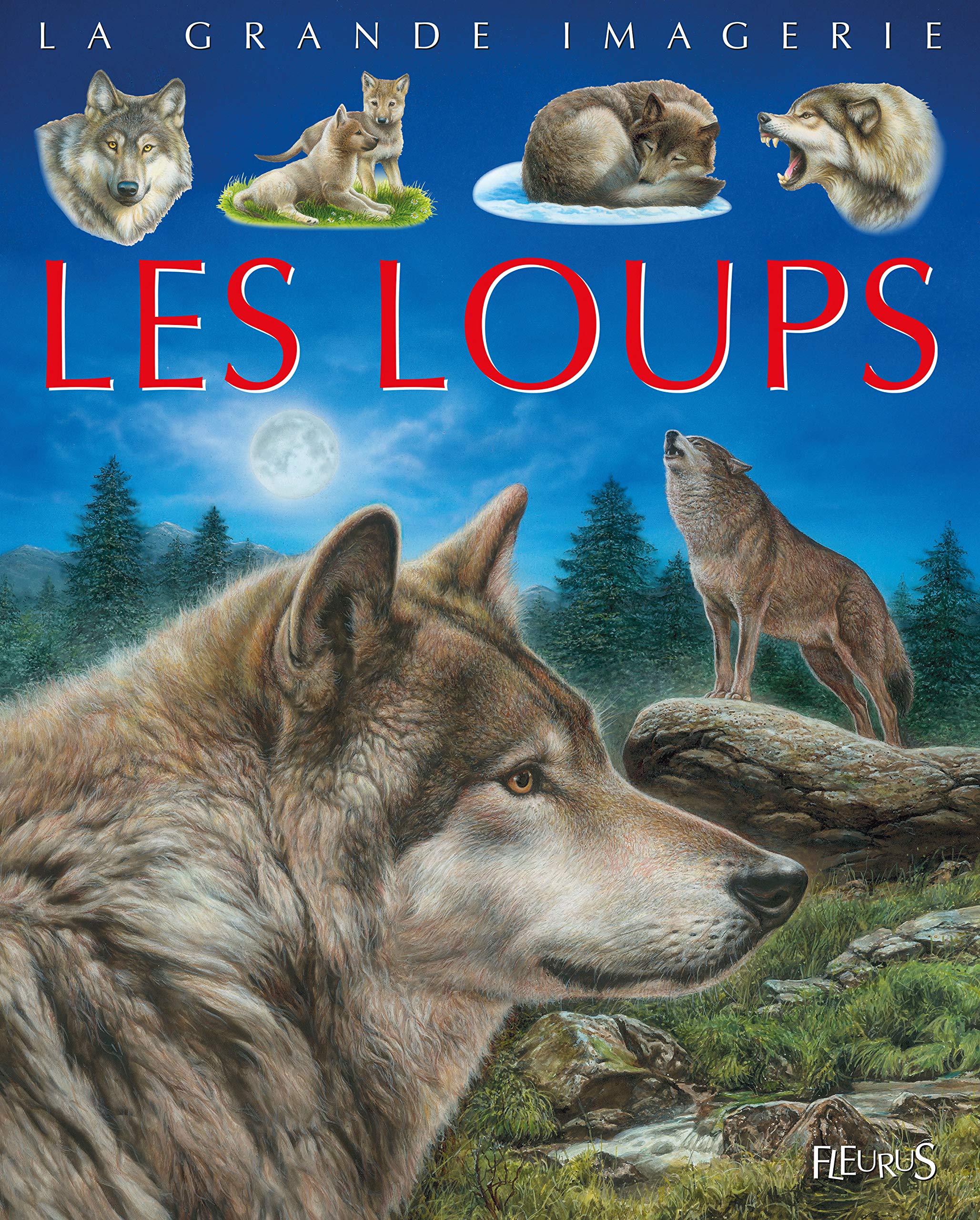 Les loups 9782215142553