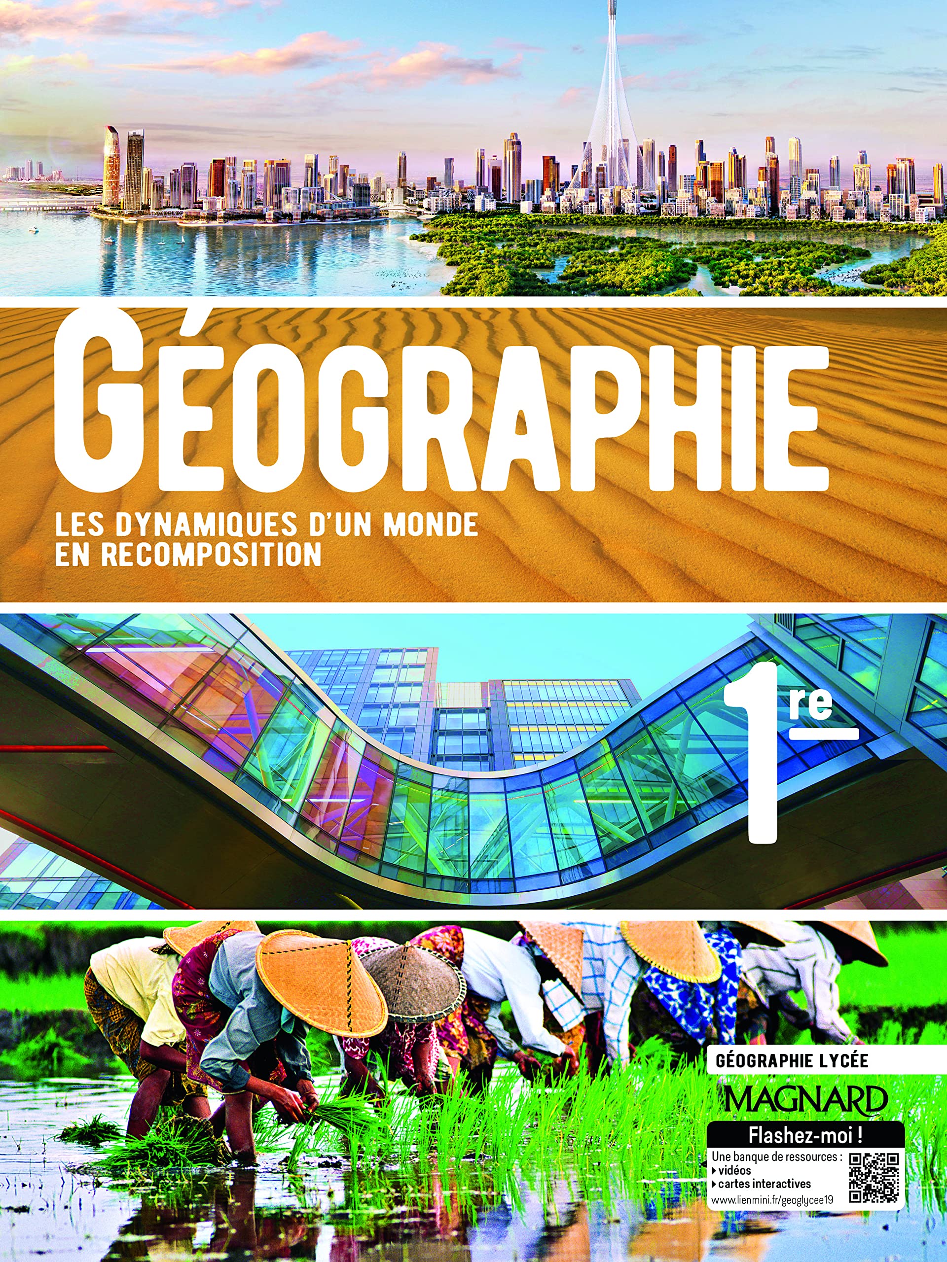 Géographie 1re (2019) - Manuel élève: Les dynamiques d'un monde en recomposition 9782210112223
