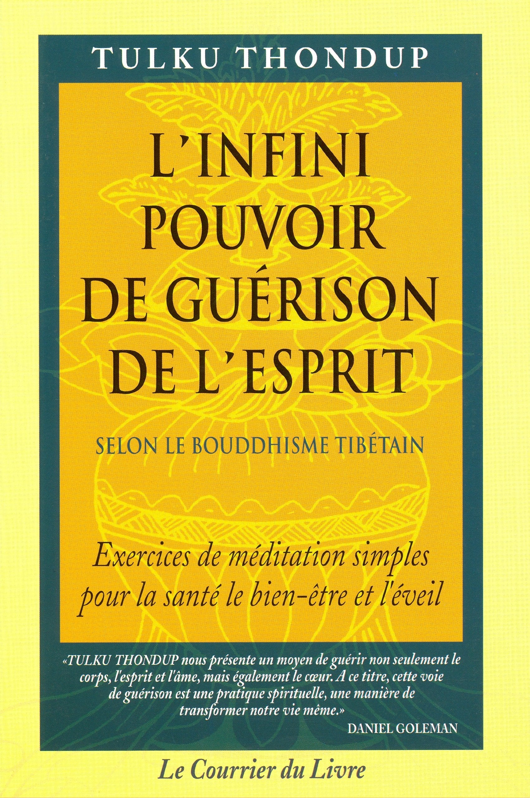 L'Infini pouvoir de guérison de l'esprit selon le bouddhisme tibétain 9782702903605