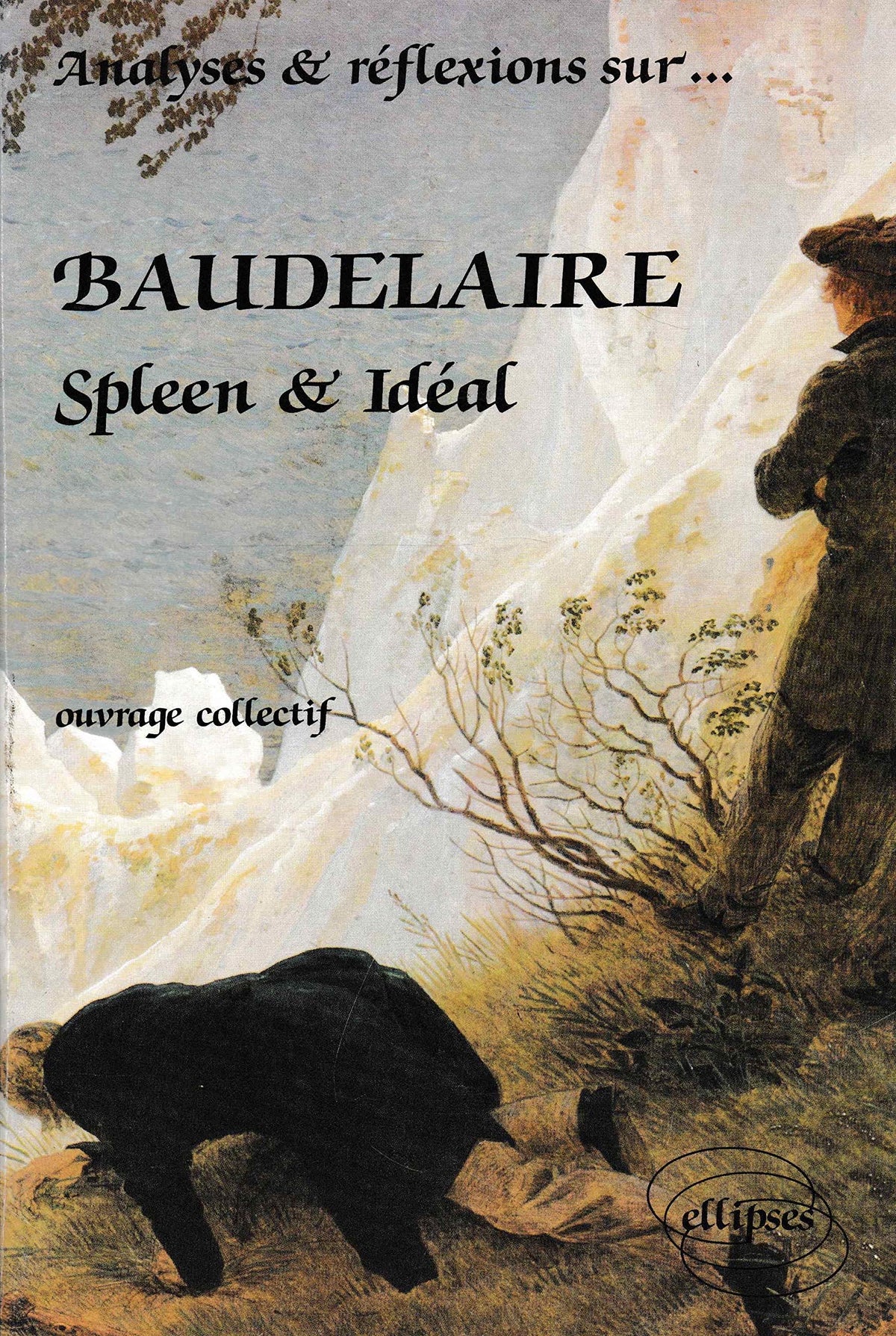Baudelaire / spleen et ideal 9782729810160