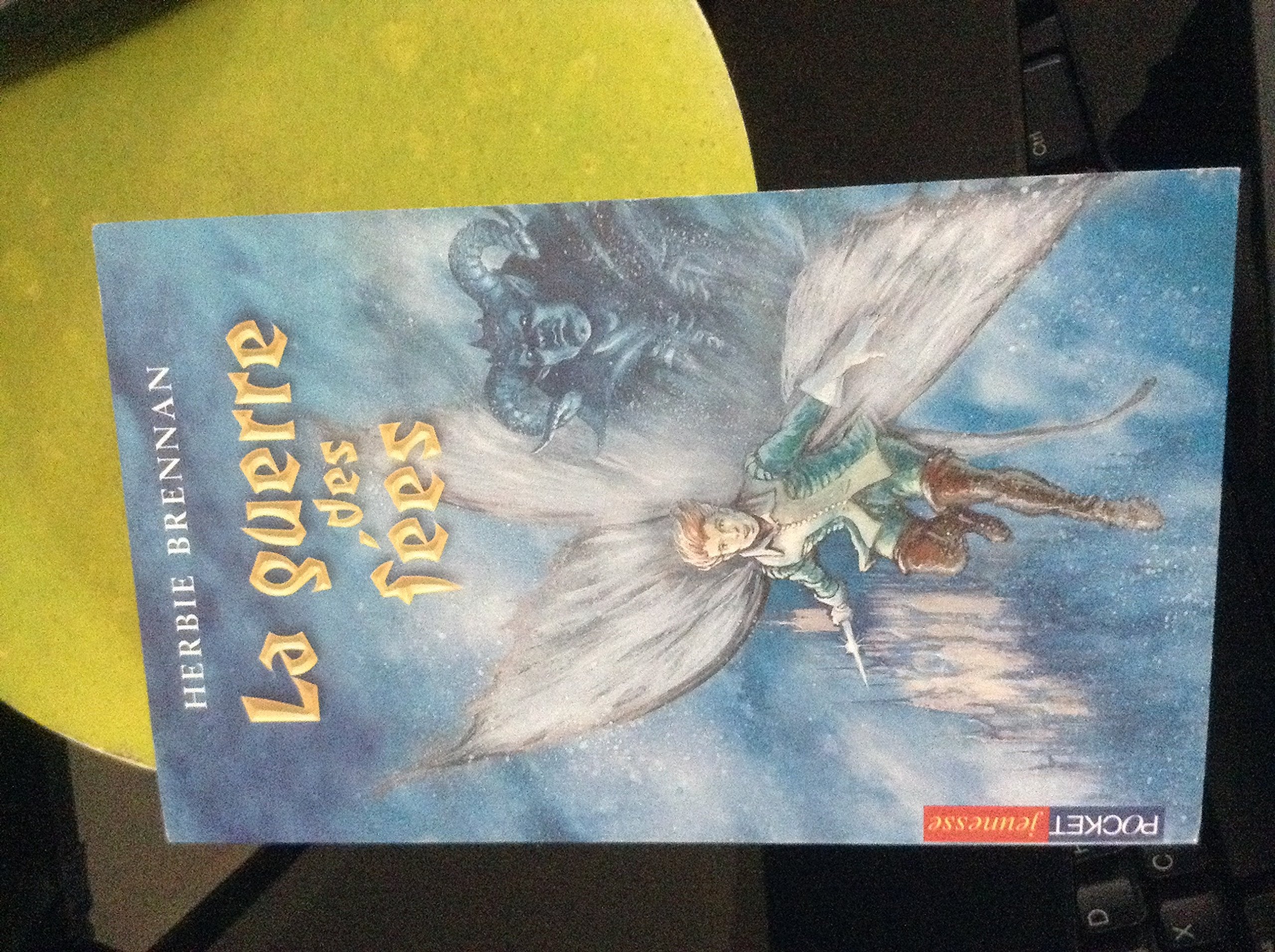 La Guerre des fées 9782266129633