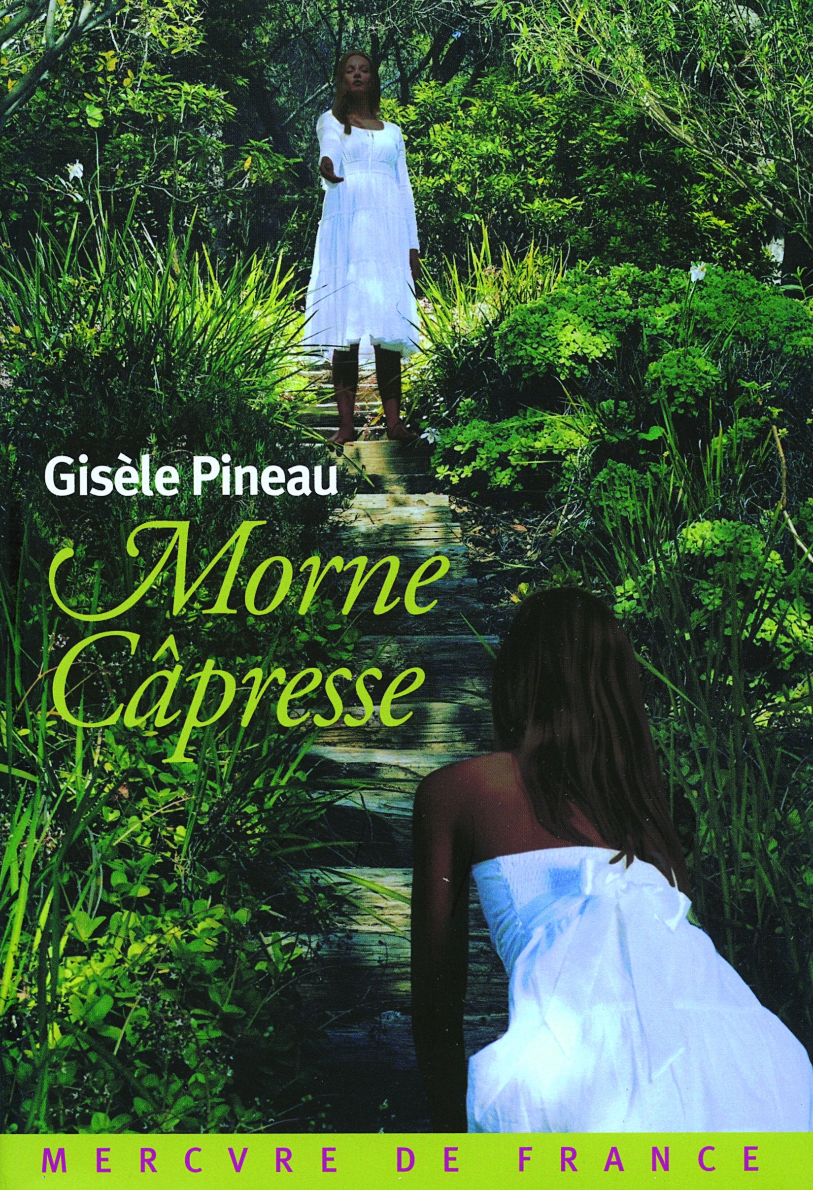 Morne Câpresse 9782715226647