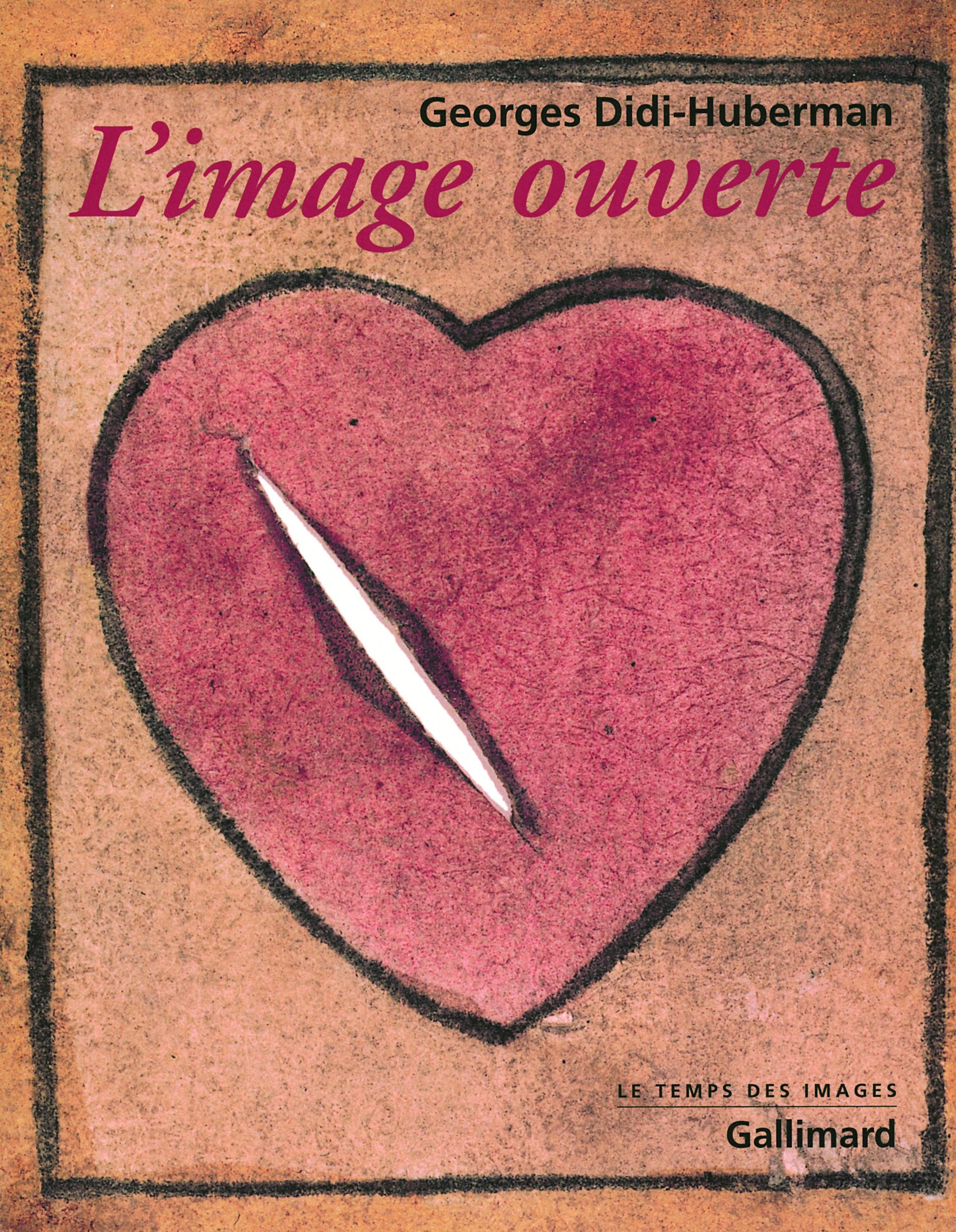 L'image ouverte: Motifs de l'incarnation dans les arts visuels 9782070779499