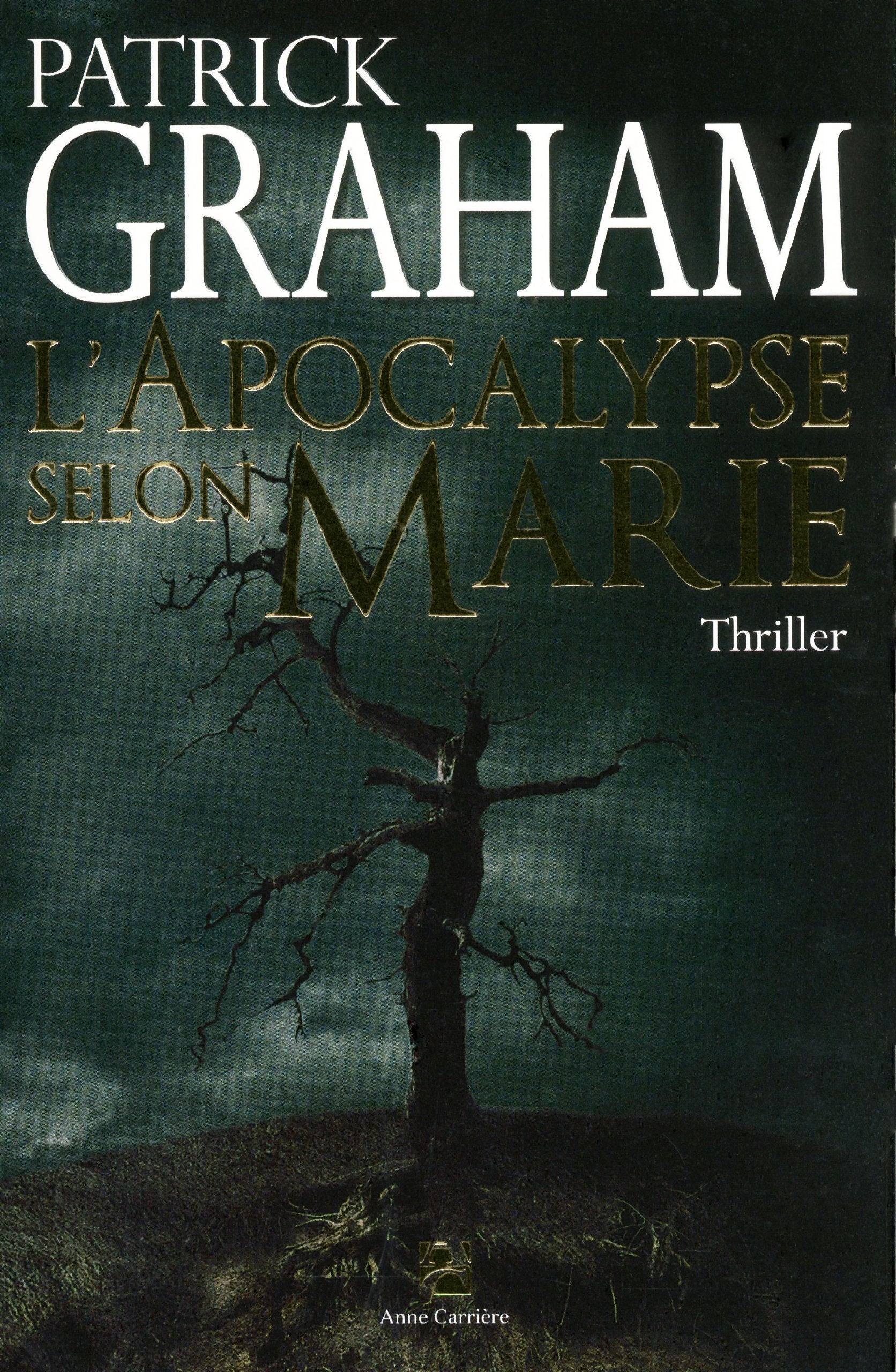 L'apocalypse selon Marie 9782843374760