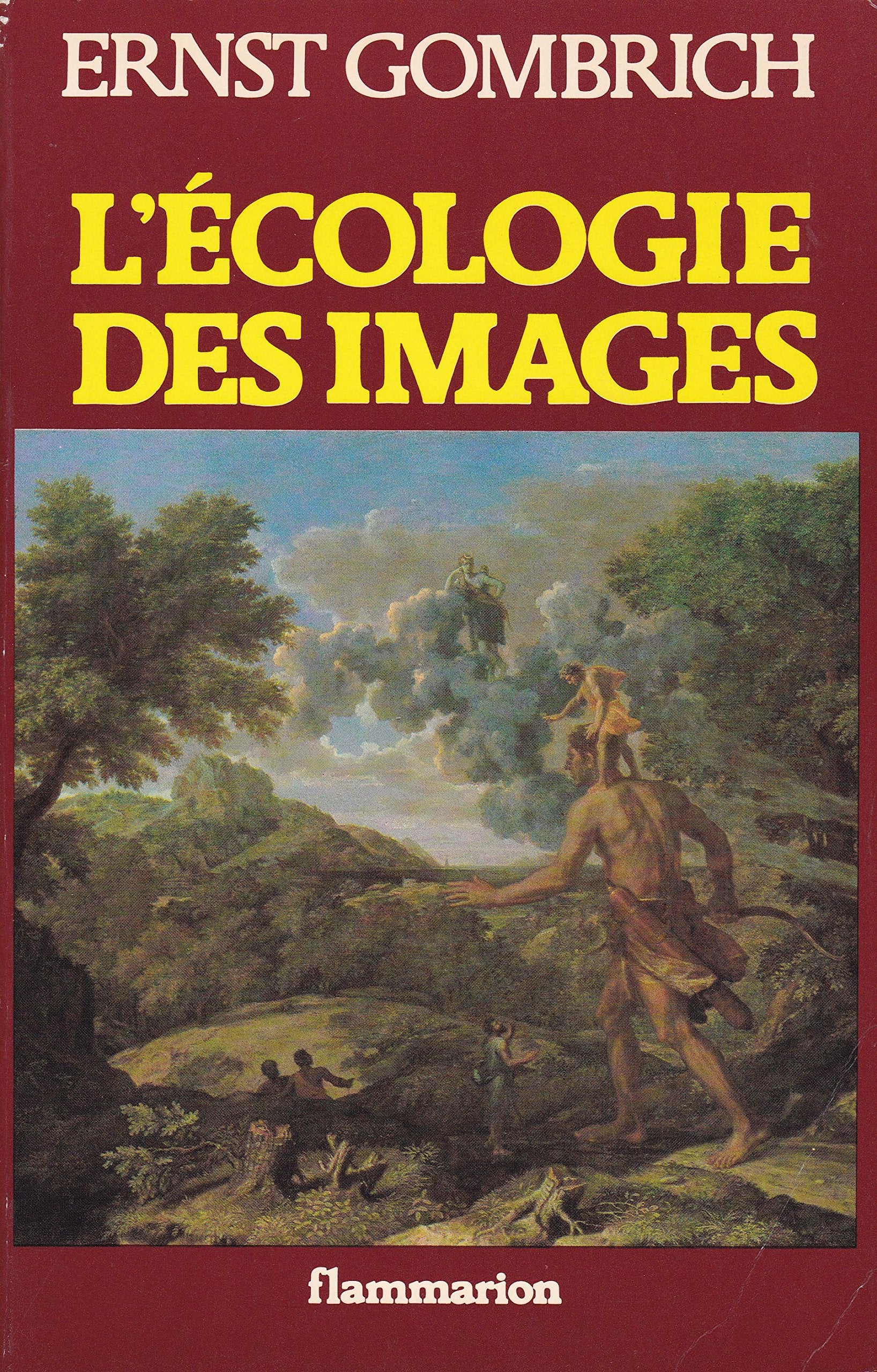 L'ECOLOGIE DES IMAGES - TRADUIT DE L'ANGLAIS 9782080126009