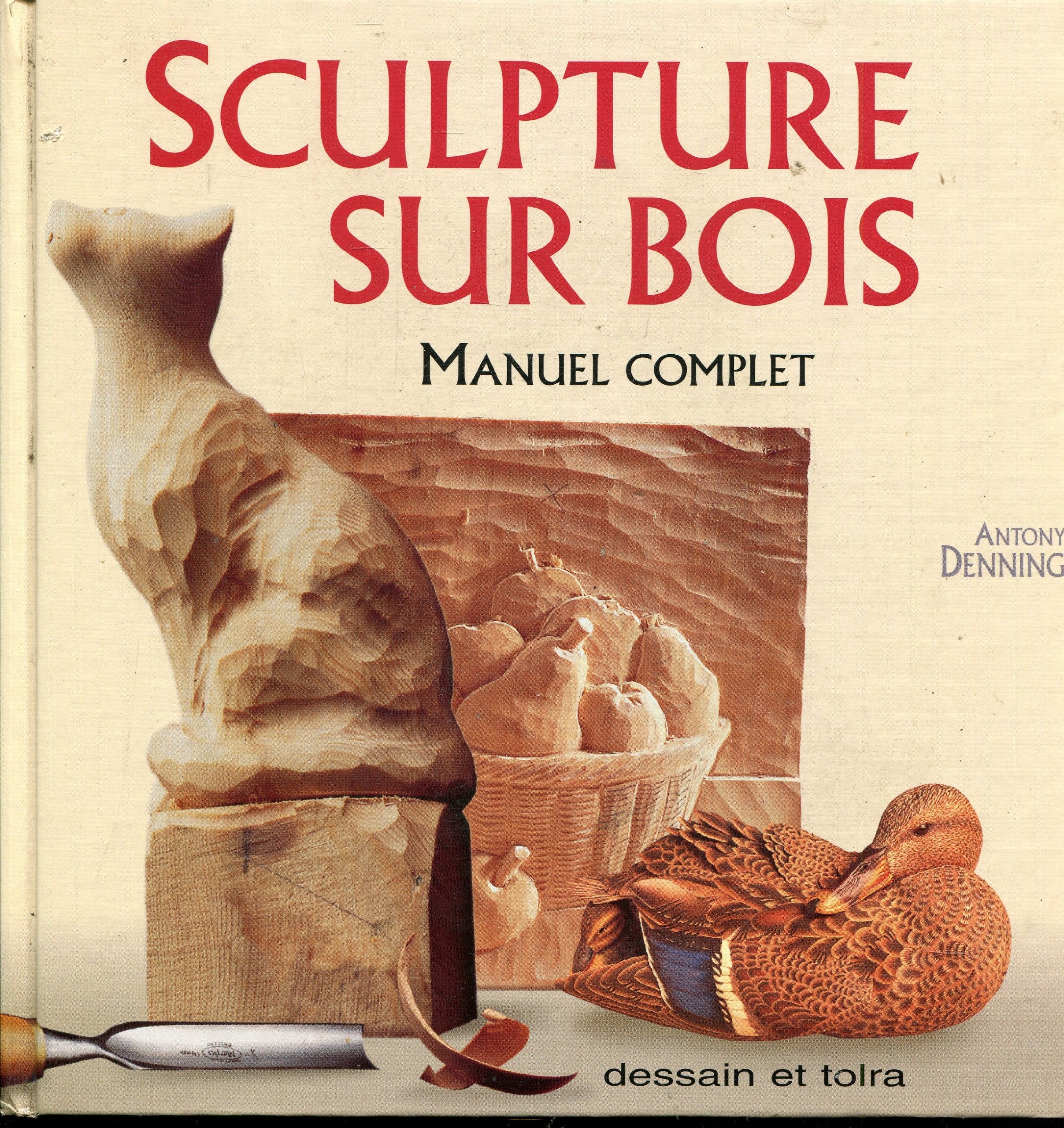 SCULPTURE SUR BOIS.: Manuel complet 9782249300035