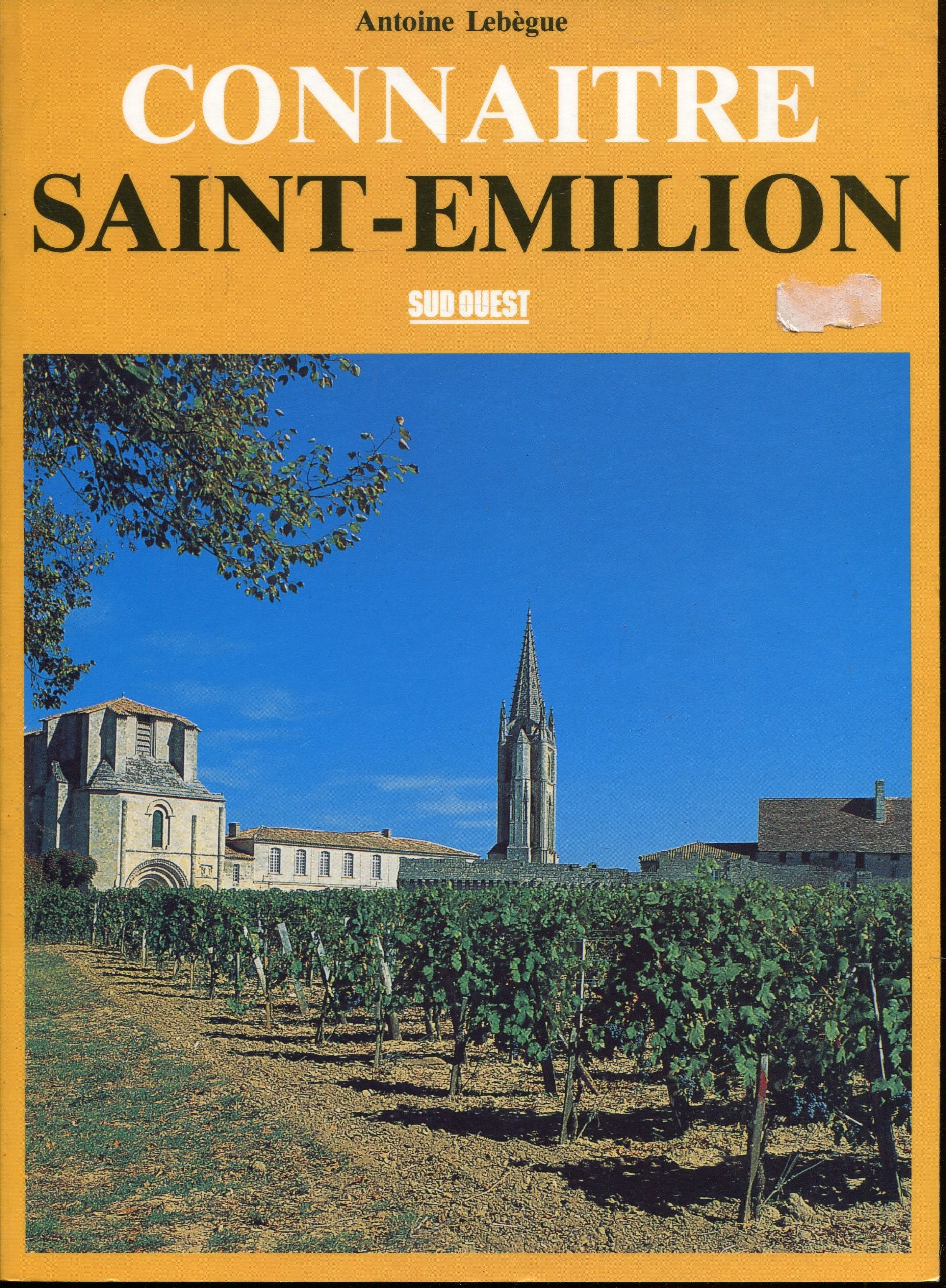 Saint-emilion 9782879010427