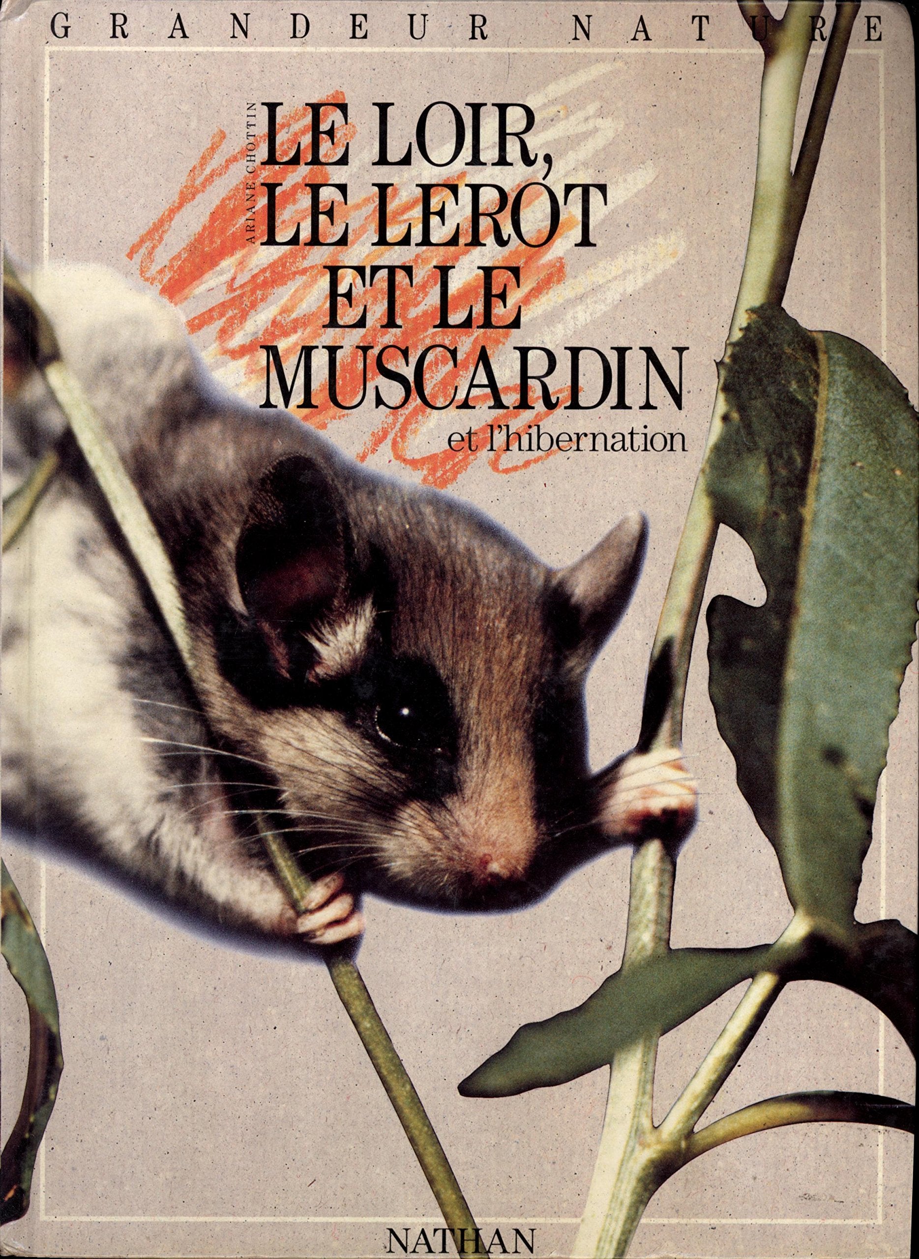 Le loir, lerot et le muscardin et l'hibernation 9782092220320