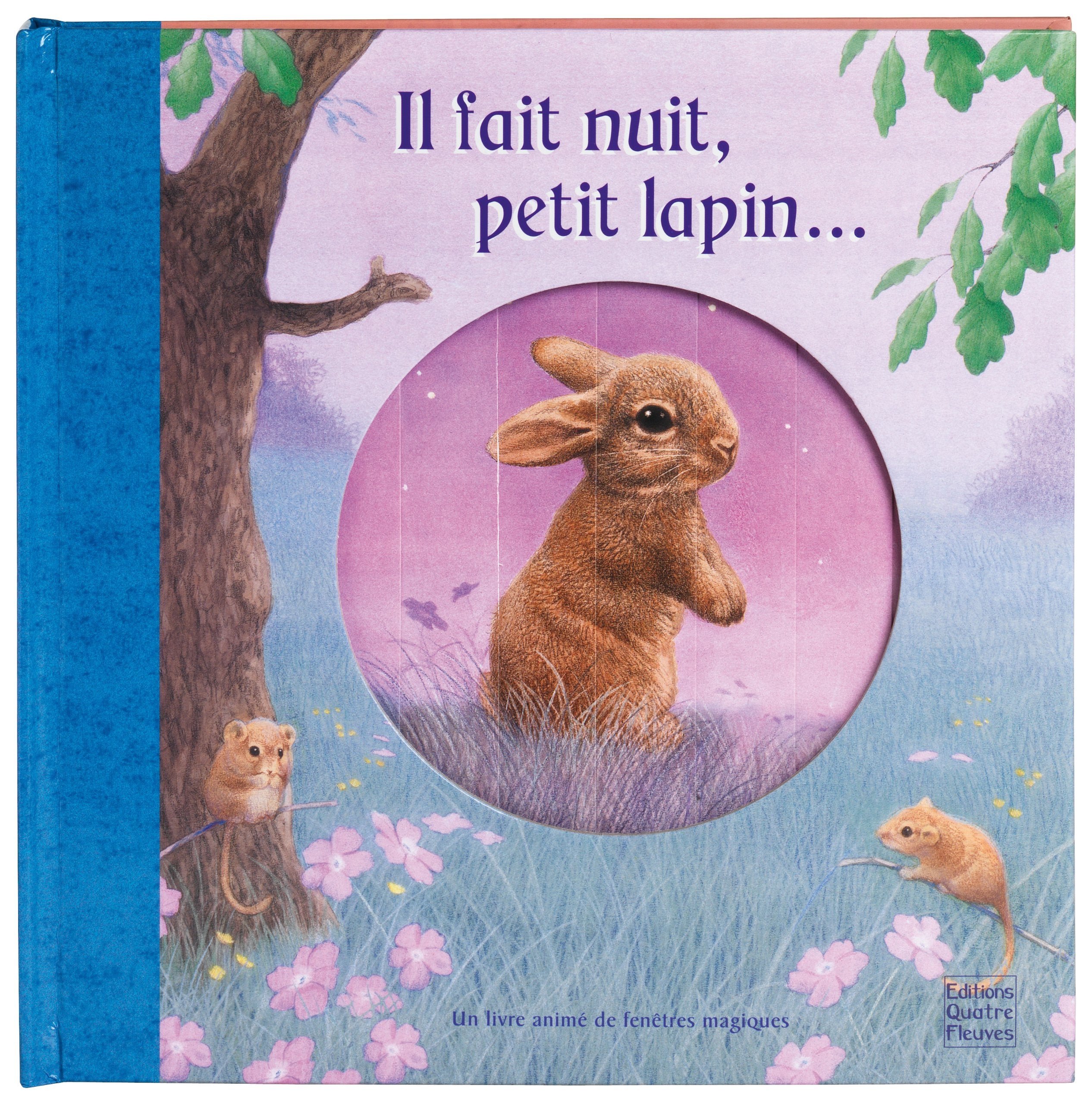 Il fait nuit, petit lapin... 9782841967759