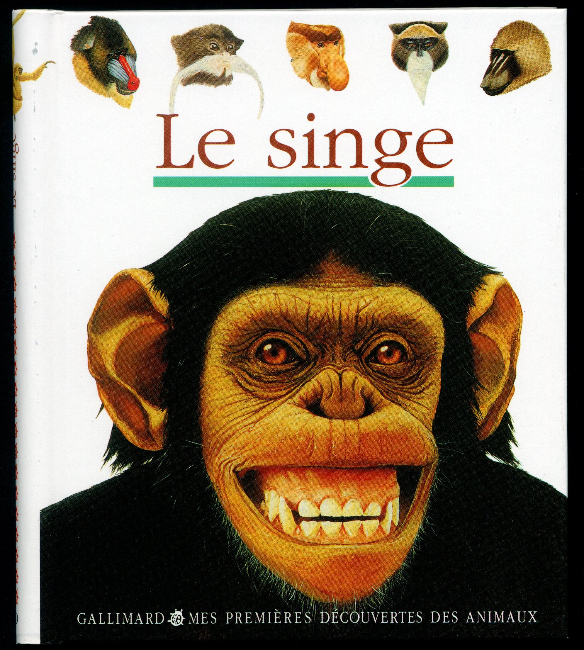 Le Singe 9782070567270