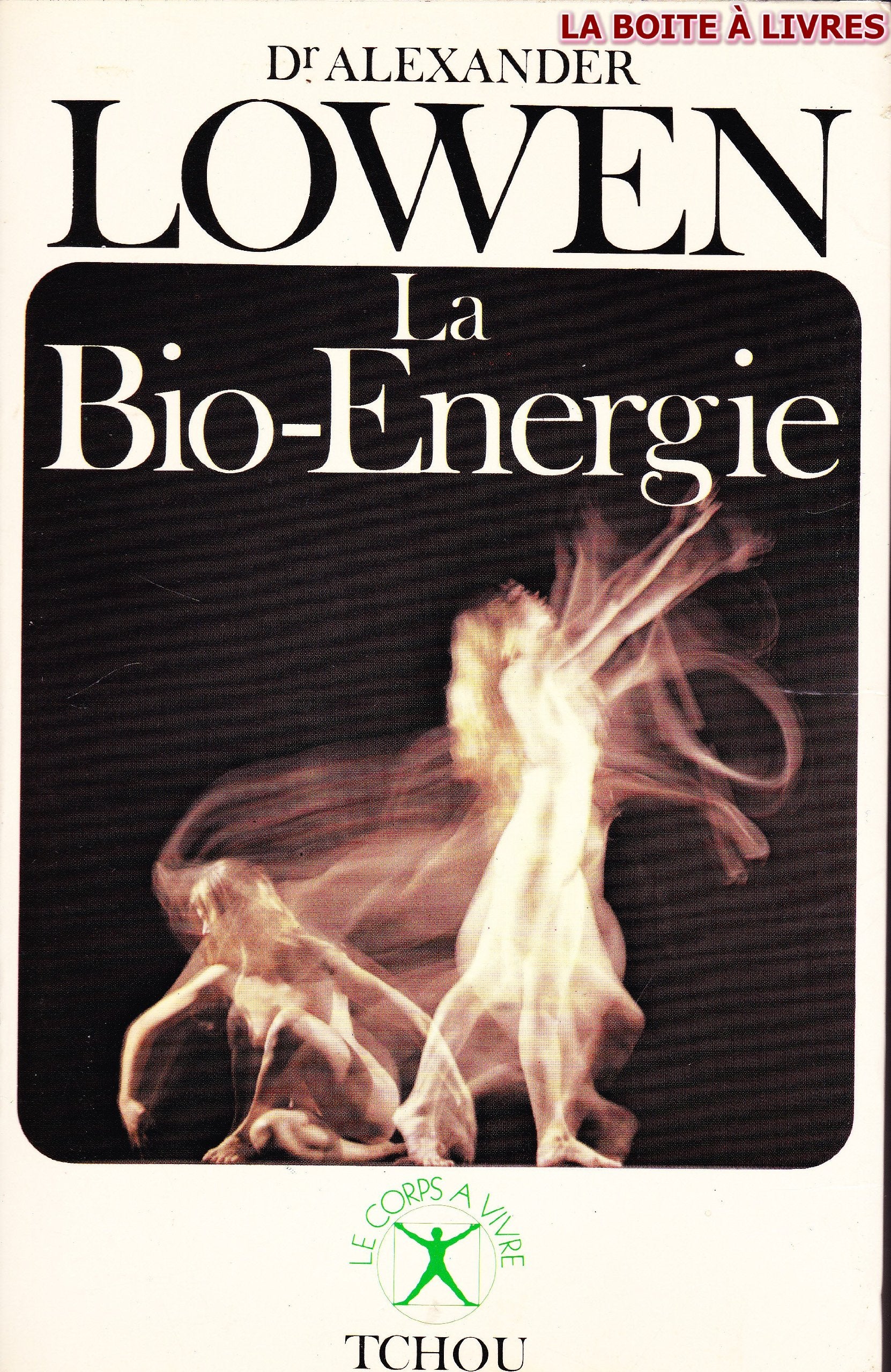 La Bio-énergie 9782710700159