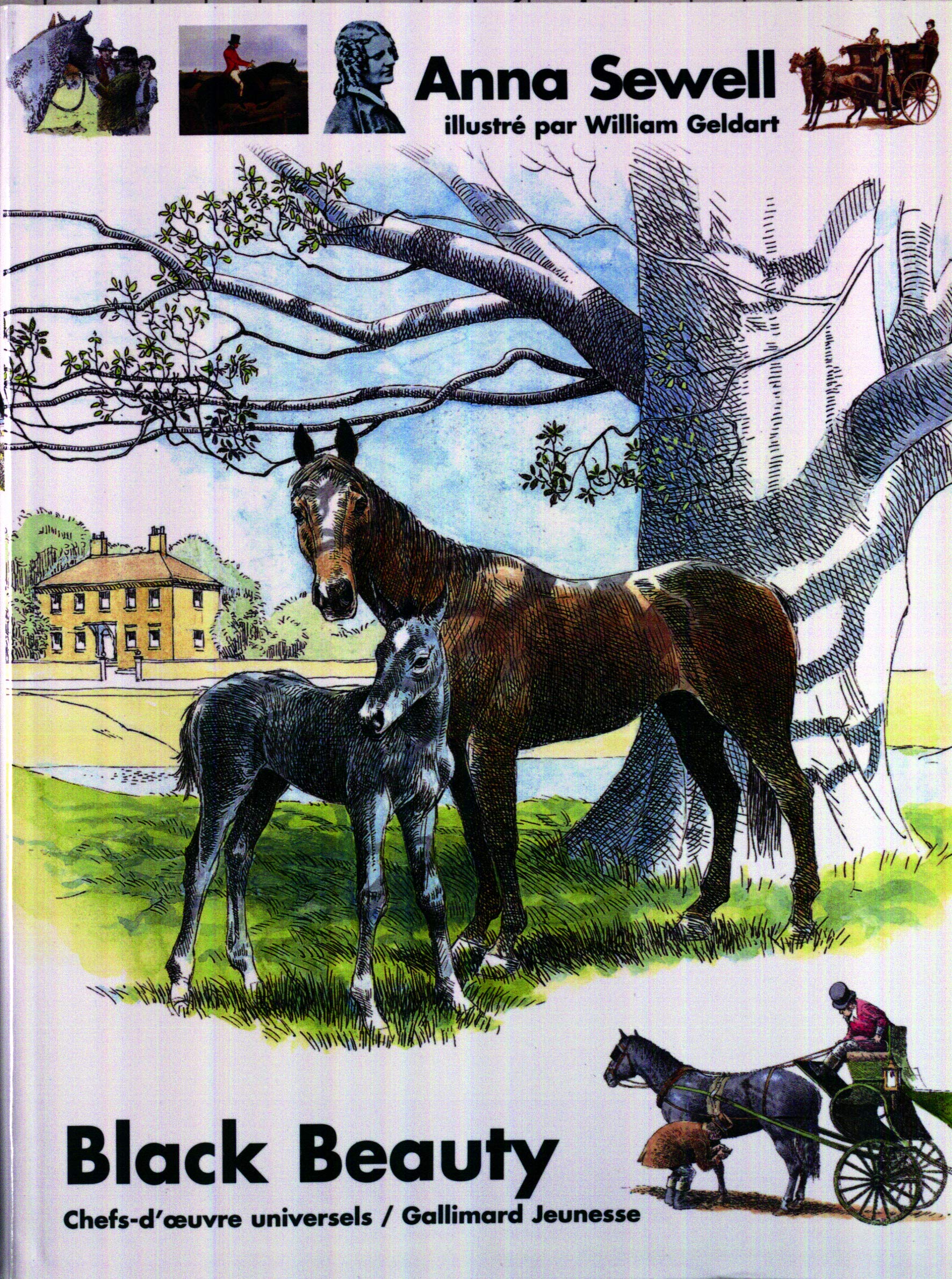 Black beauty 9782070540822