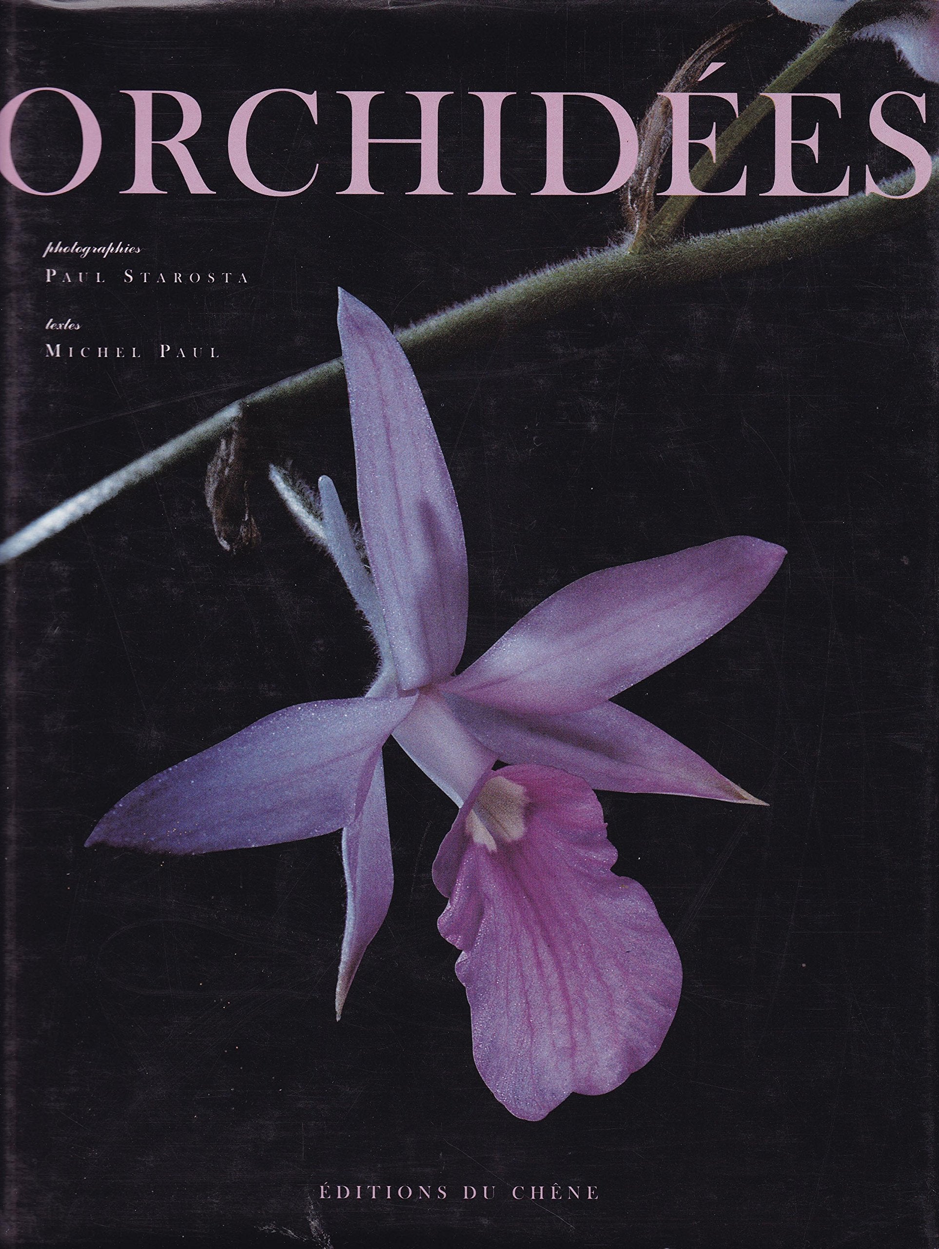 Orchidées 9782842770334