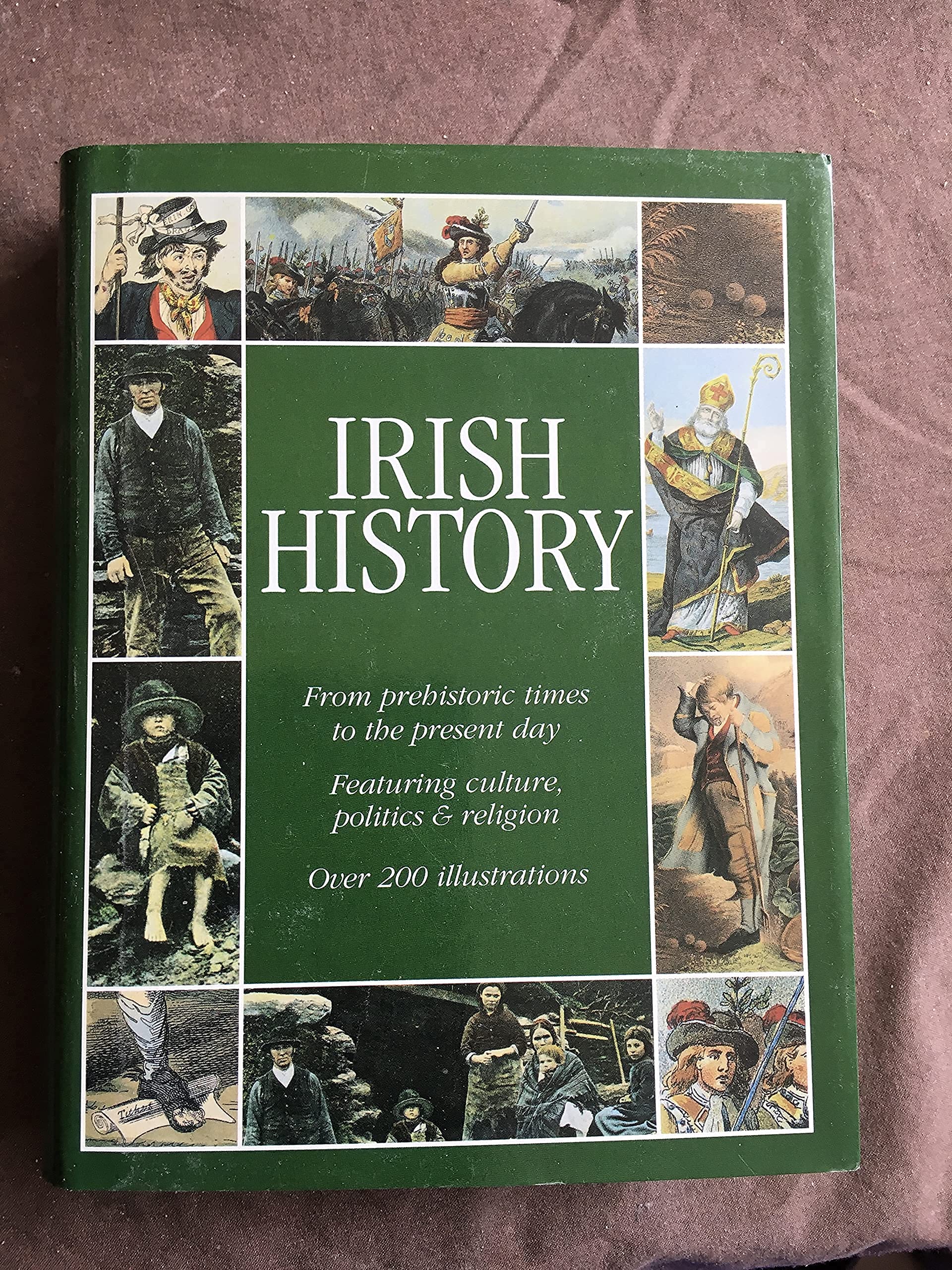 Irish History 9781405468206