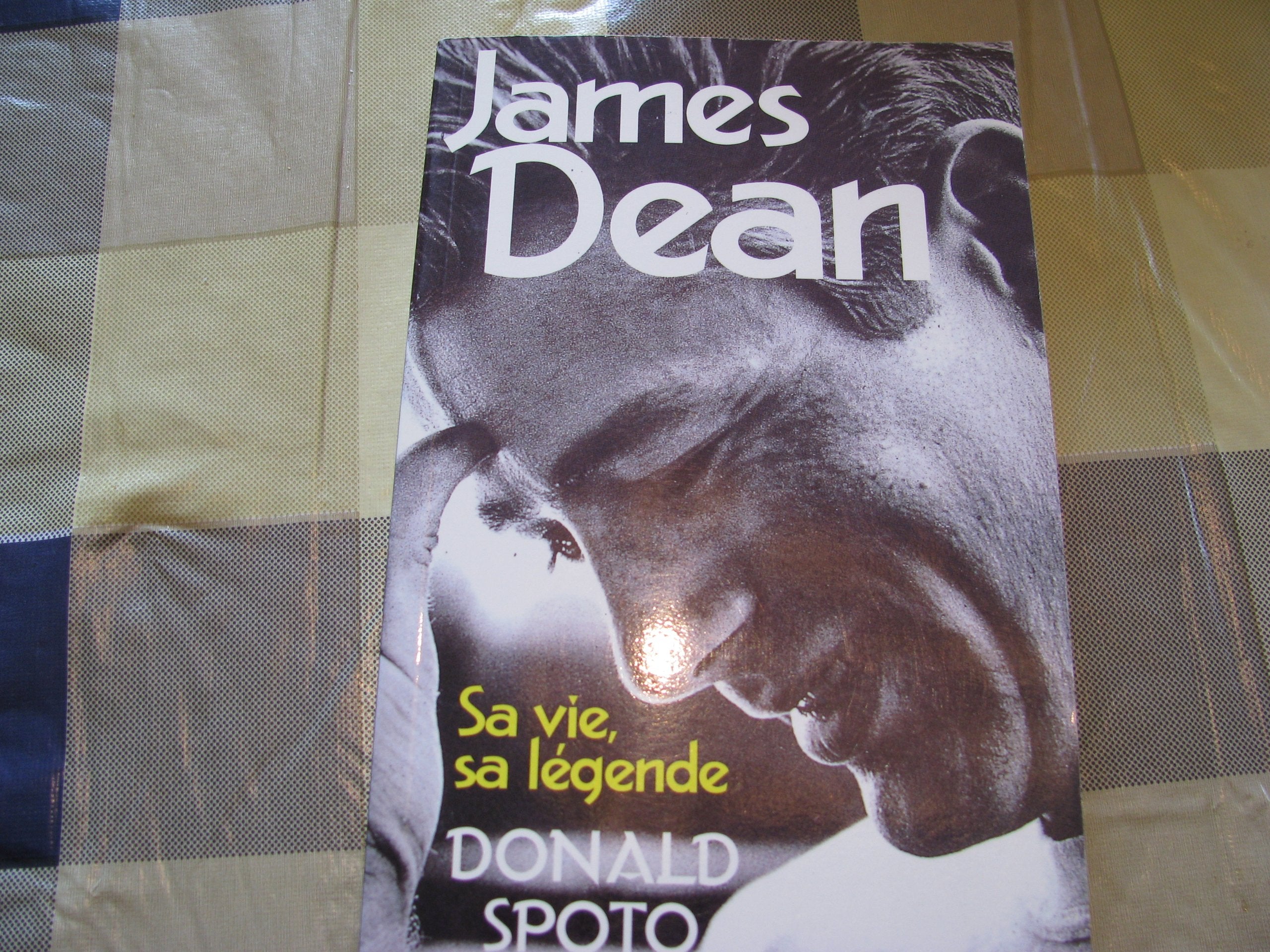 James Dean: Sa vie, sa légende 9782258041516